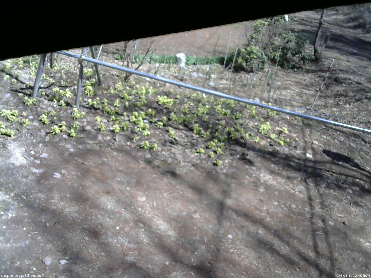 長野県菅平高原 ゆたか山荘 駐車場 2026/04/11 12:45
