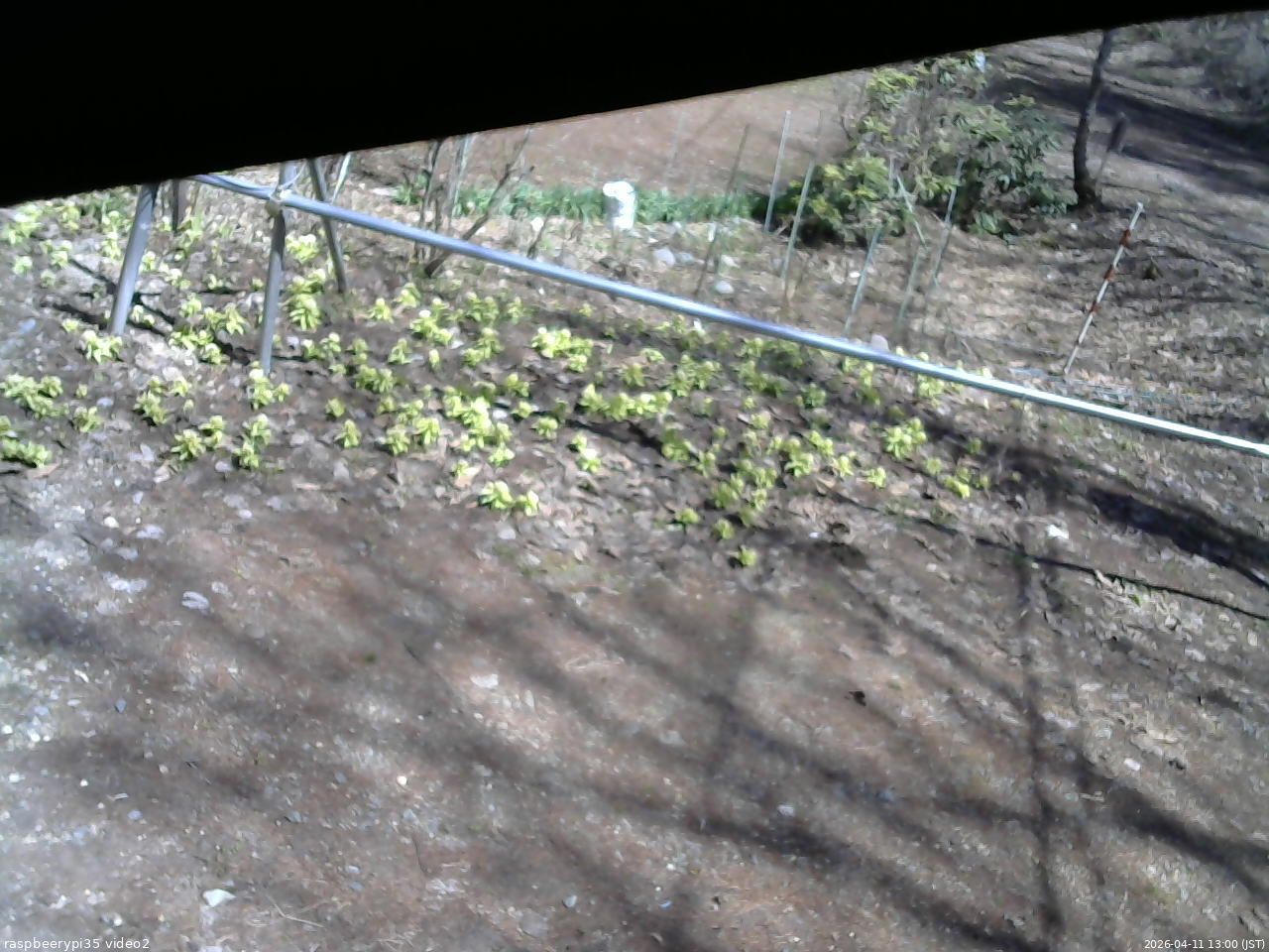 長野県菅平高原 ゆたか山荘 駐車場 2026/04/11 13:00