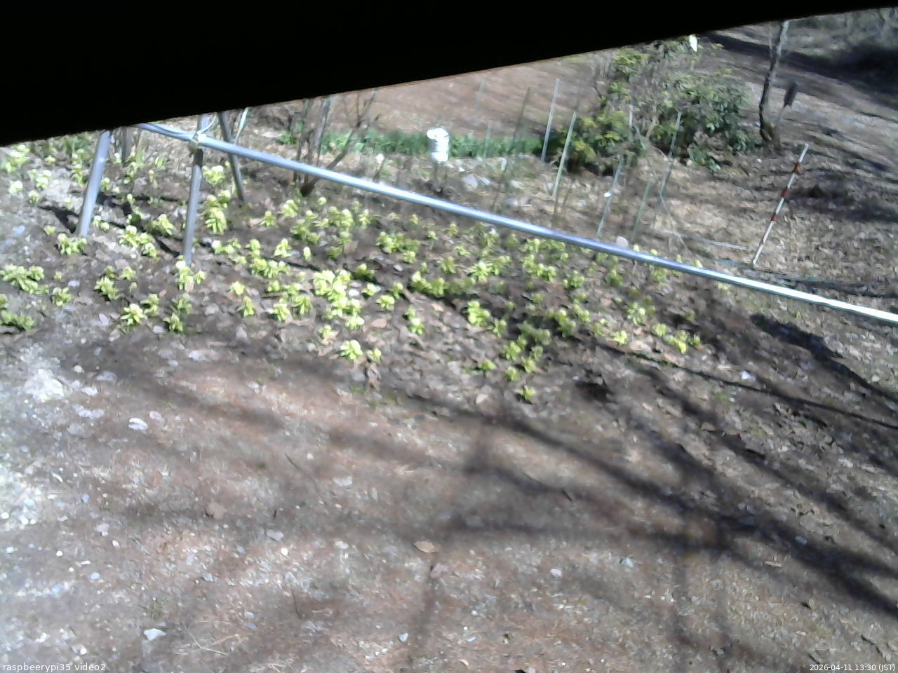 長野県菅平高原 ゆたか山荘 駐車場 2026/04/11 13:30