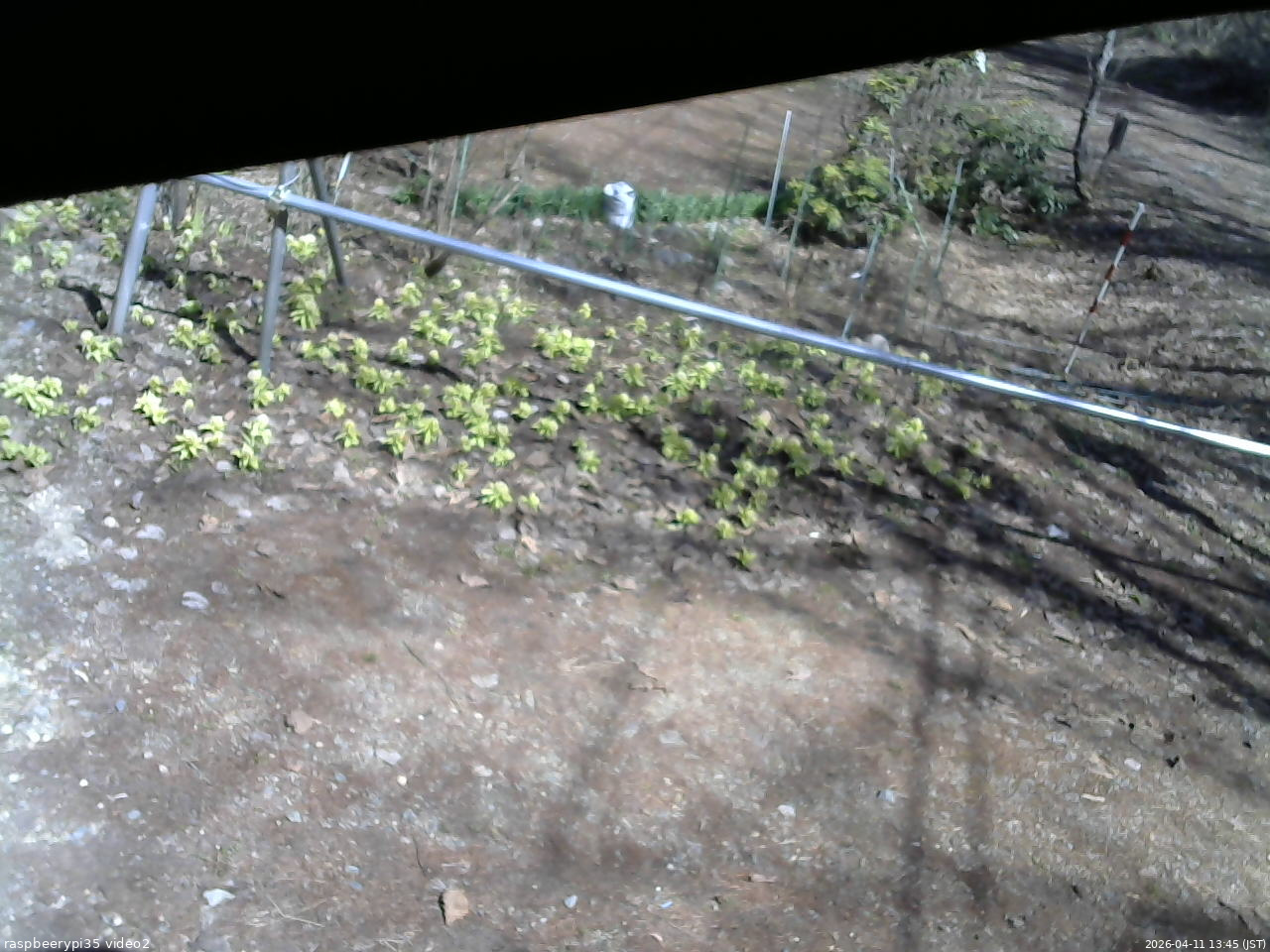 長野県菅平高原 ゆたか山荘 駐車場 2026/04/11 13:45