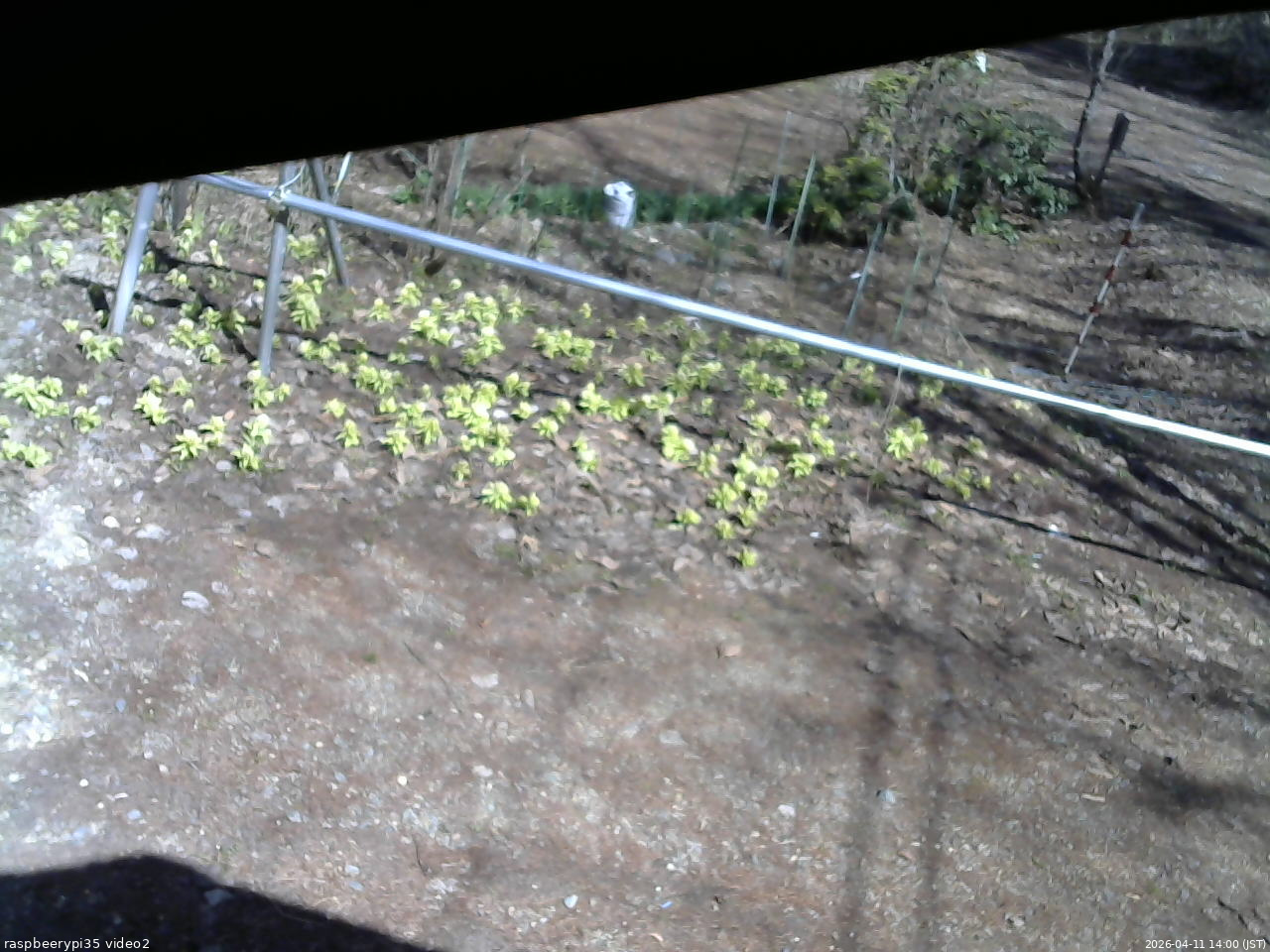 長野県菅平高原 ゆたか山荘 駐車場 2026/04/11 14:00