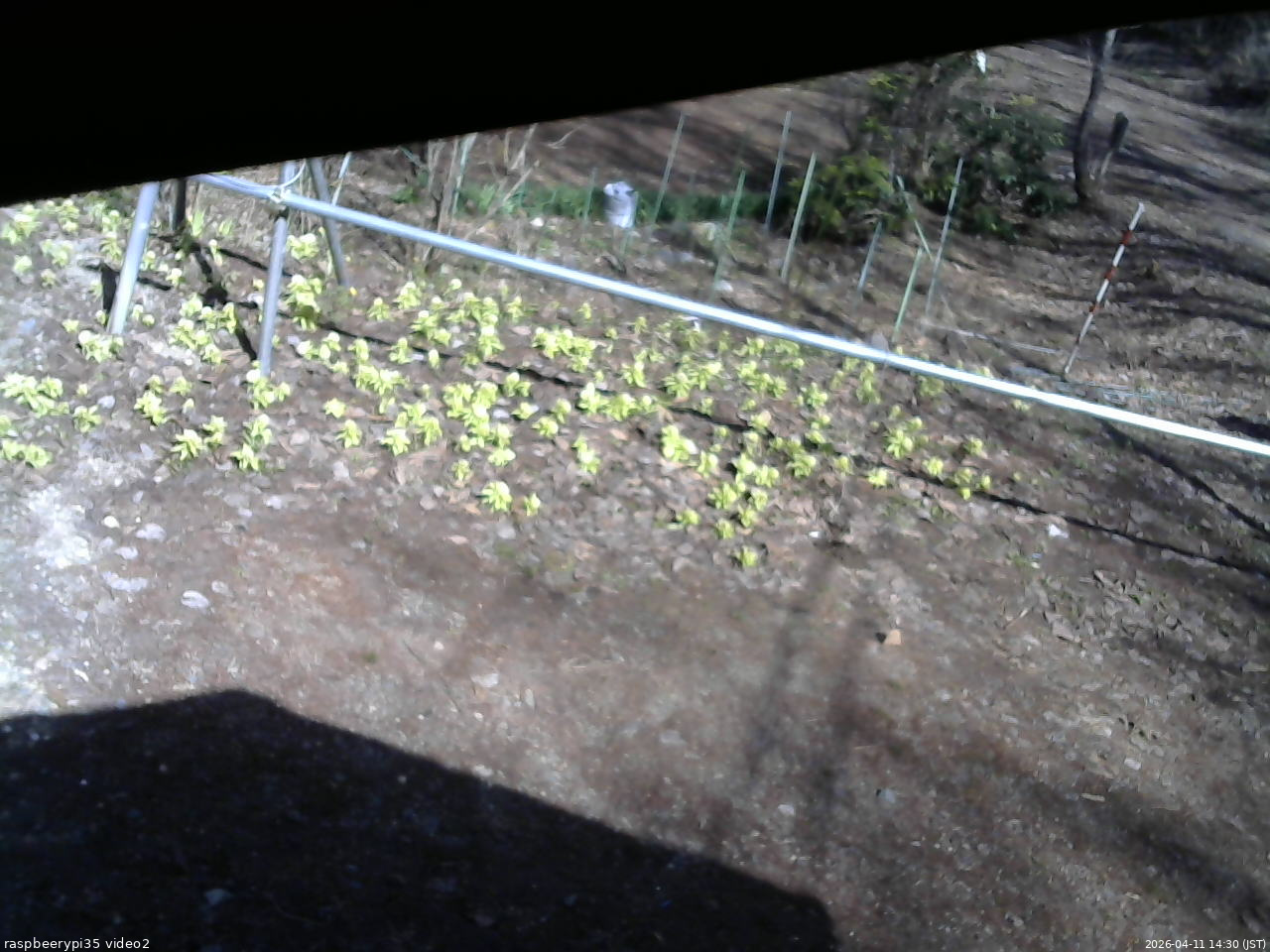 長野県菅平高原 ゆたか山荘 駐車場 2026/04/11 14:30