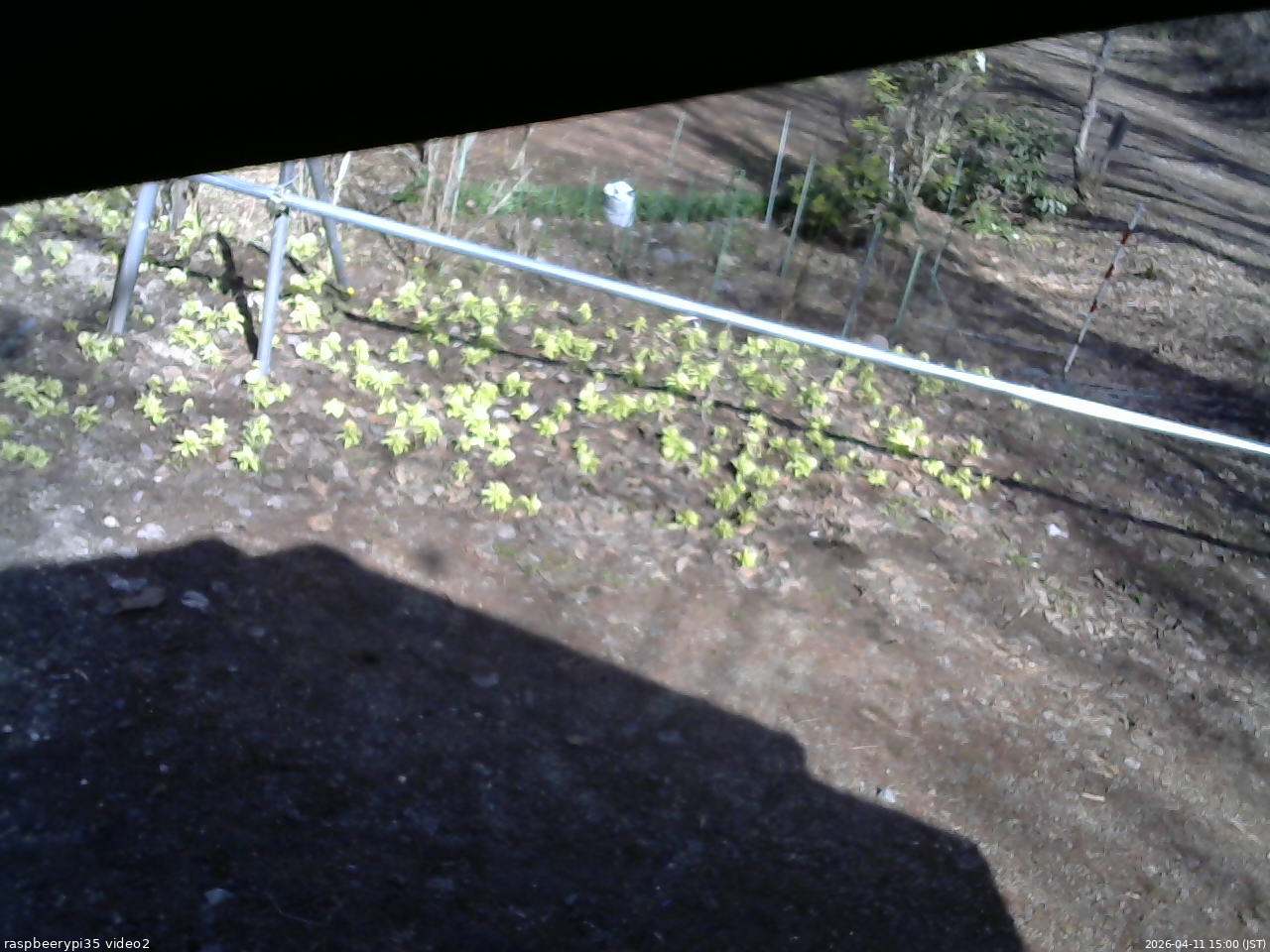 長野県菅平高原 ゆたか山荘 駐車場 2026/04/11 15:00