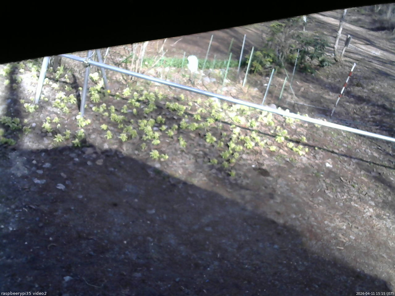 長野県菅平高原 ゆたか山荘 駐車場 2026/04/11 15:15