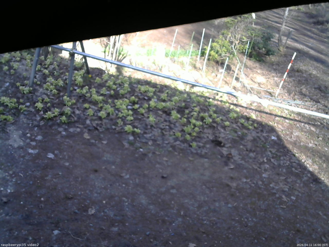 長野県菅平高原 ゆたか山荘 駐車場 2026/04/11 16:00