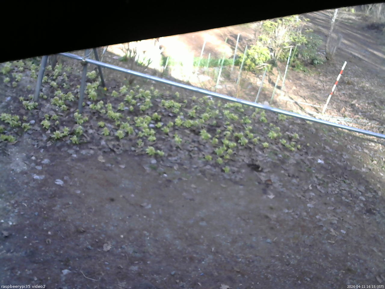 長野県菅平高原 ゆたか山荘 駐車場 2026/04/11 16:15