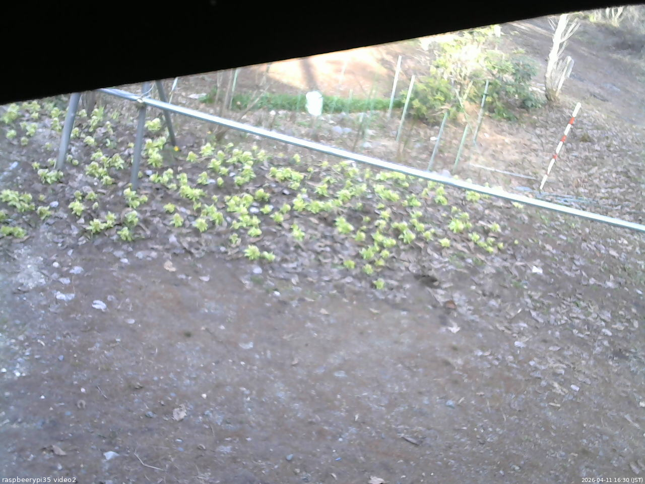 長野県菅平高原 ゆたか山荘 駐車場 2026/04/11 16:30