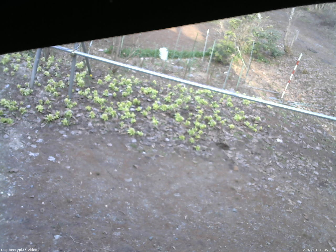 長野県菅平高原 ゆたか山荘 駐車場 2026/04/11 16:45