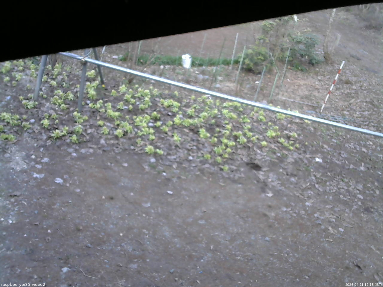 長野県菅平高原 ゆたか山荘 駐車場 2026/04/11 17:15