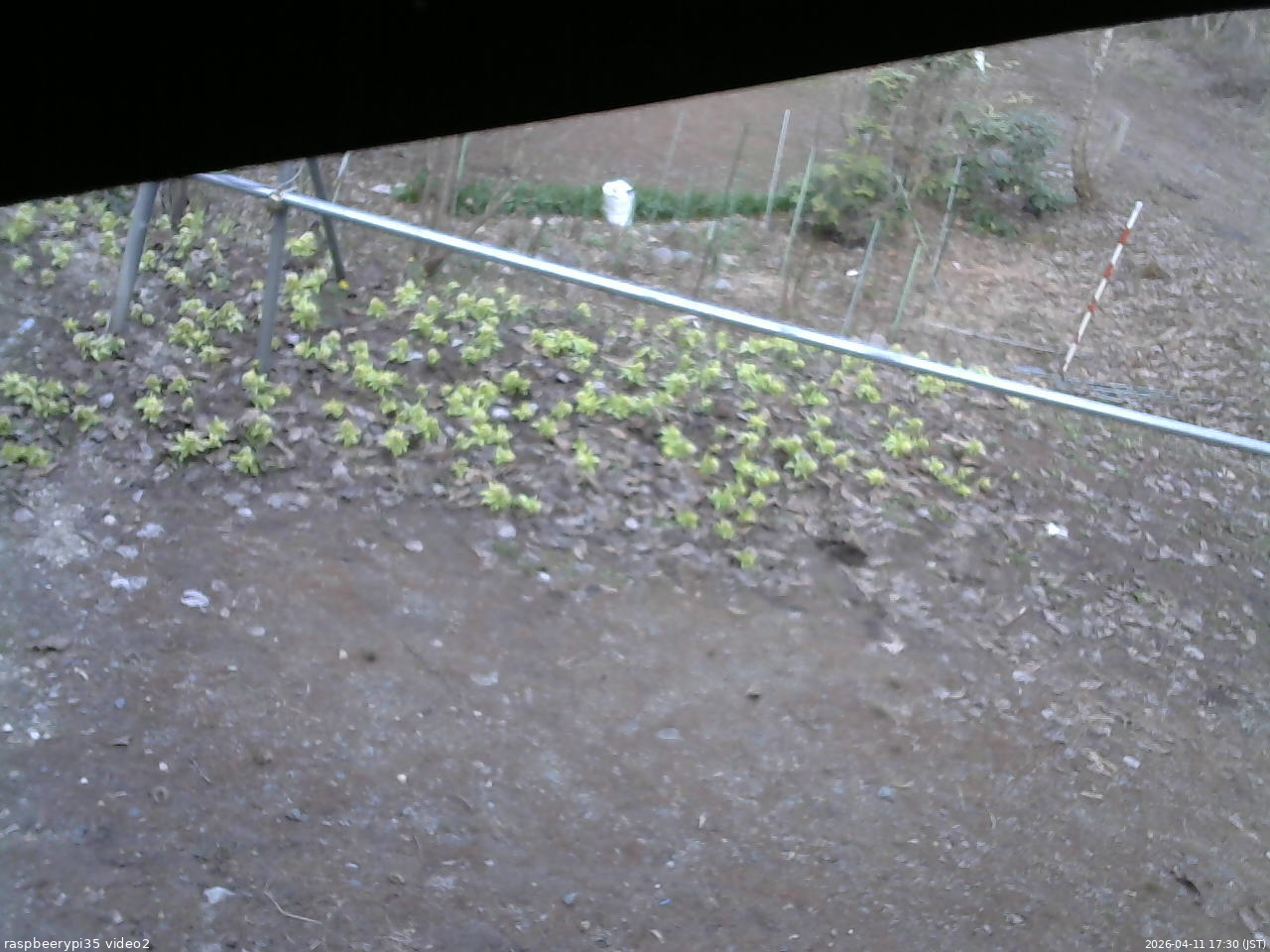 長野県菅平高原 ゆたか山荘 駐車場 2026/04/11 17:30