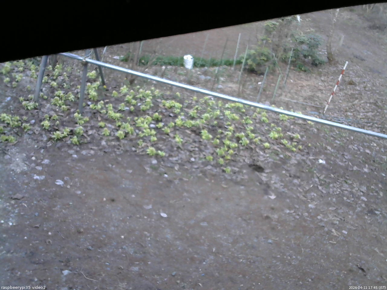 長野県菅平高原 ゆたか山荘 駐車場 2026/04/11 17:45