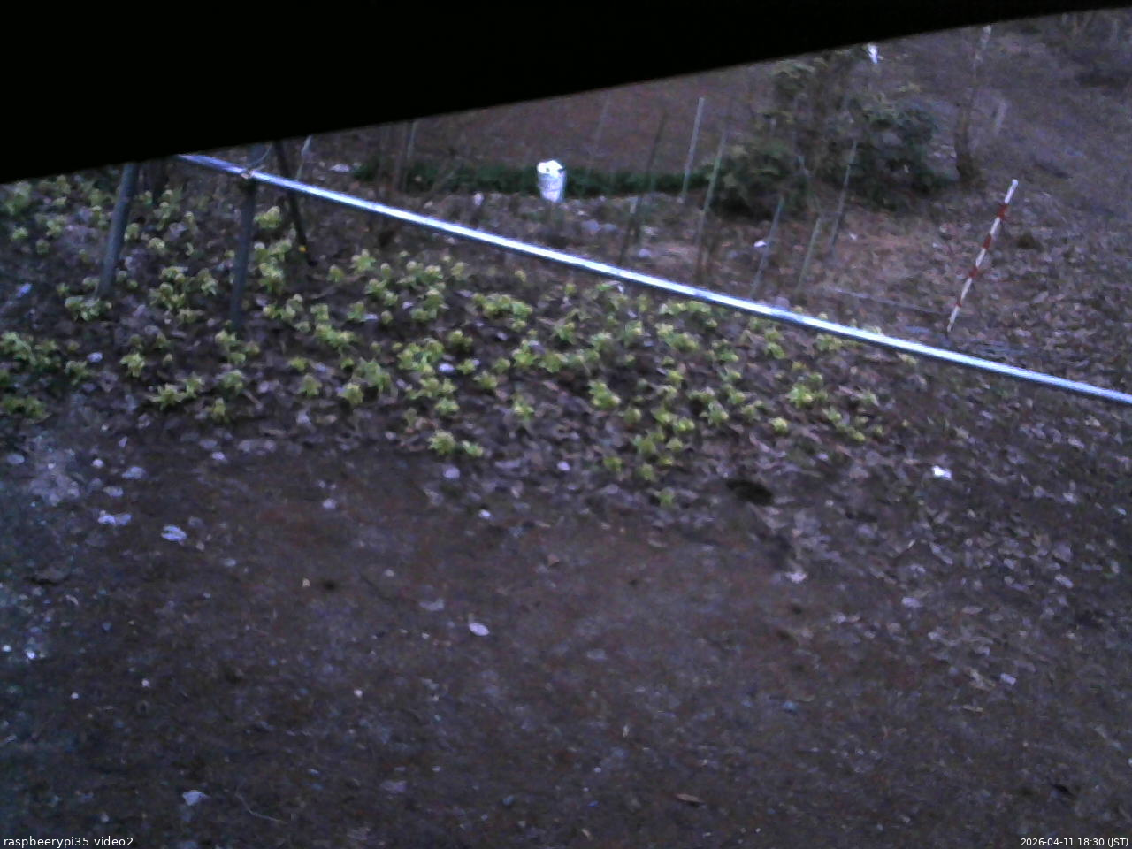 長野県菅平高原 ゆたか山荘 駐車場 2026/04/11 18:30