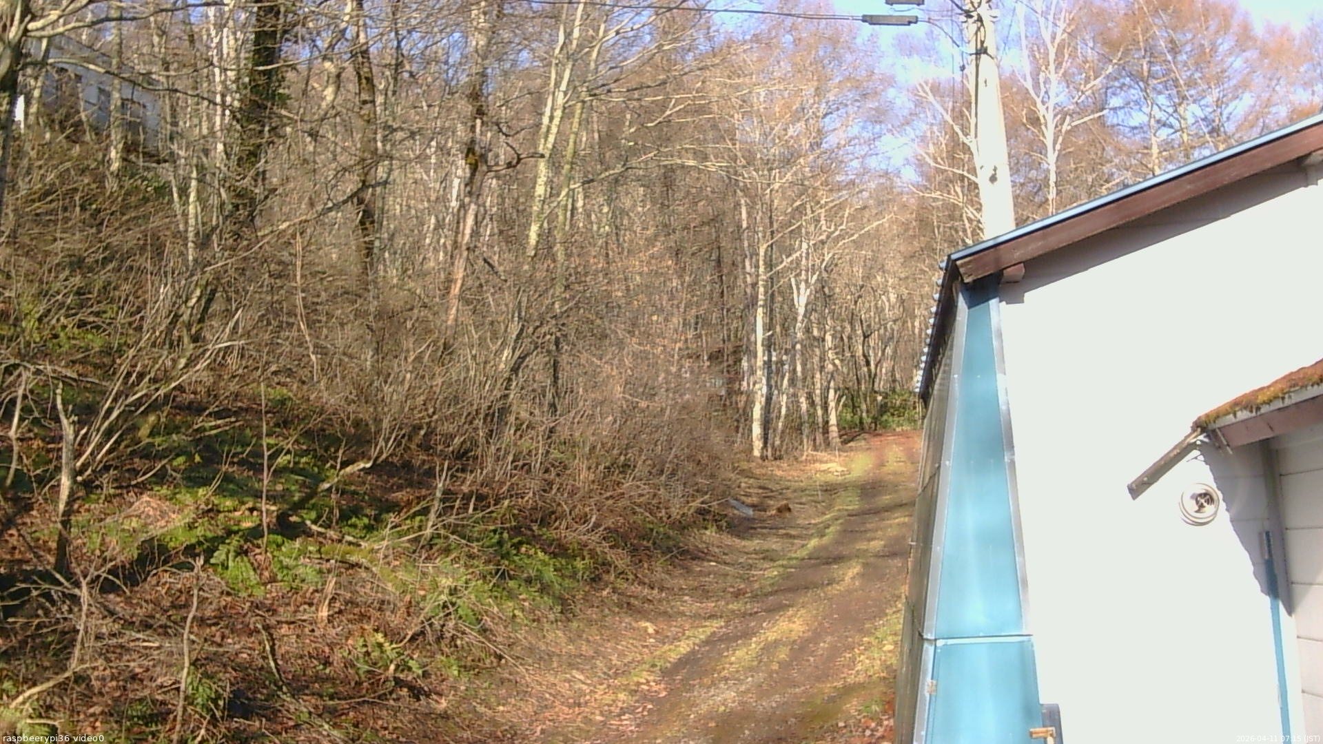 長野県菅平高原 ゆたか山荘 ゆたか山荘 2026/04/11 07:15