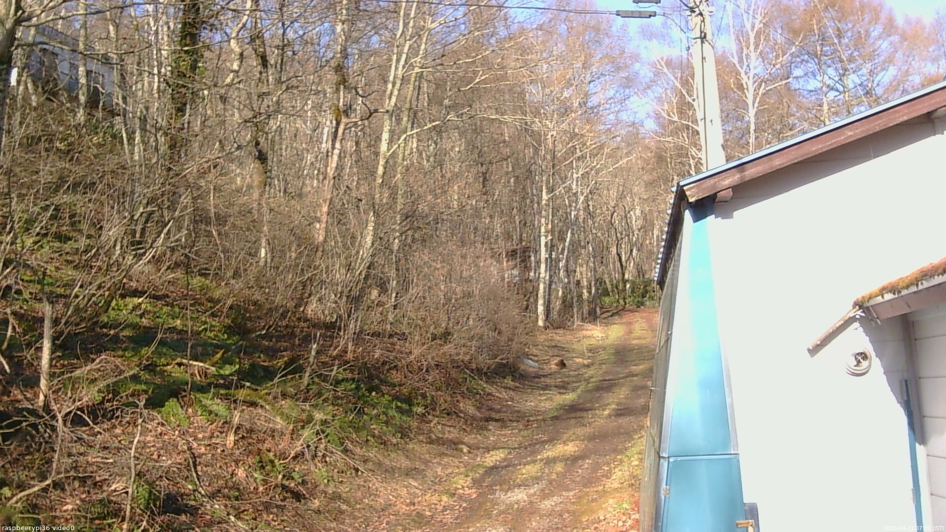 長野県菅平高原 ゆたか山荘 ゆたか山荘 2026/04/11 07:30