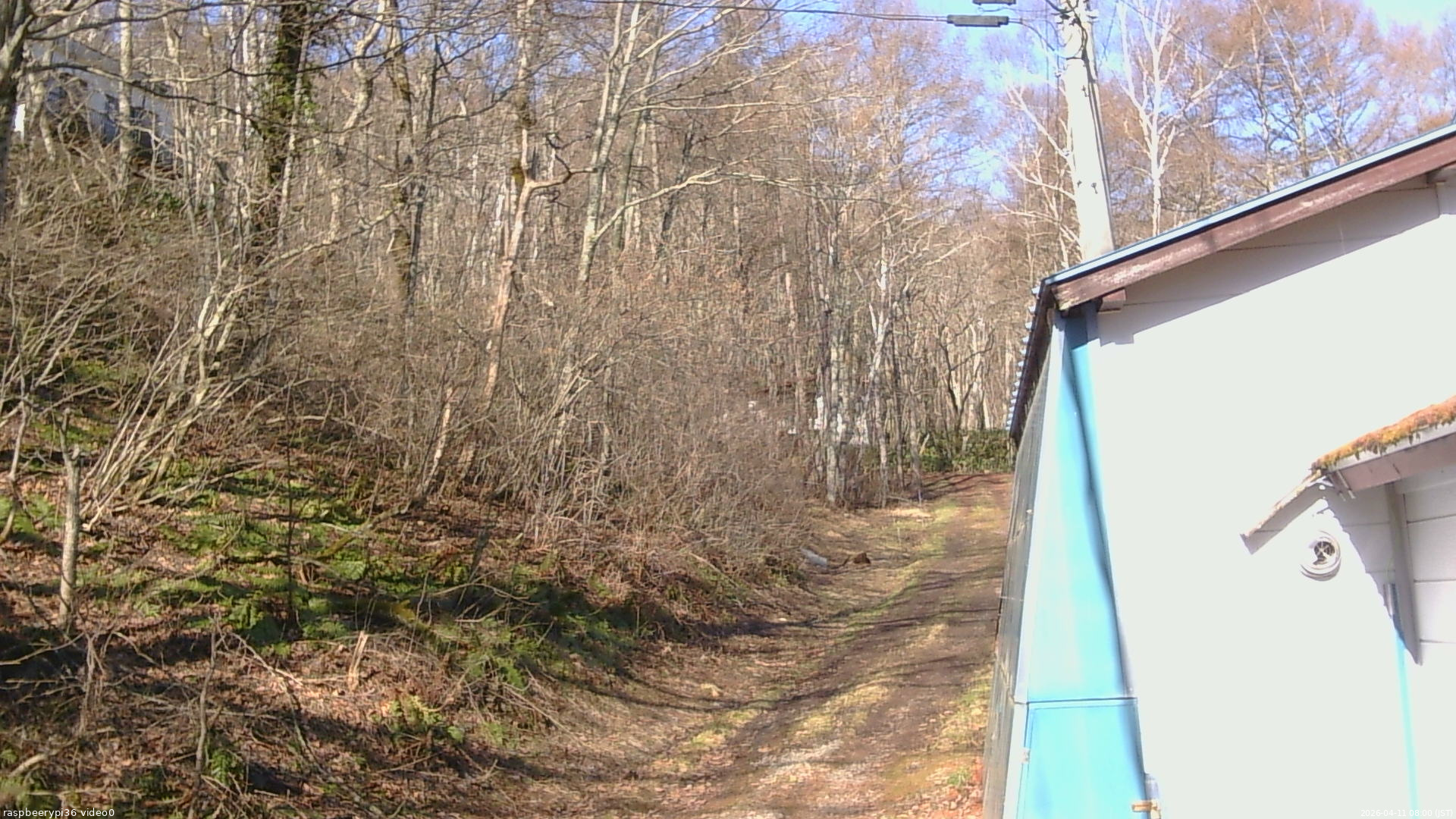 長野県菅平高原 ゆたか山荘 ゆたか山荘 2026/04/11 08:00