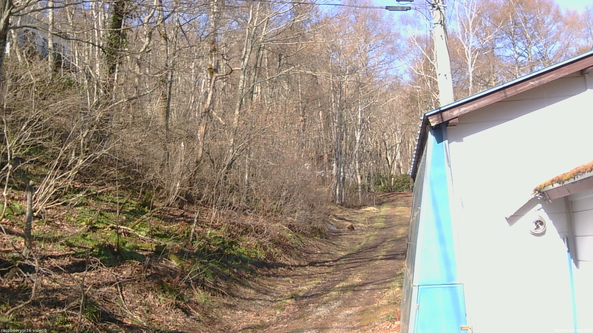 長野県菅平高原 ゆたか山荘 ゆたか山荘 2026/04/11 08:15