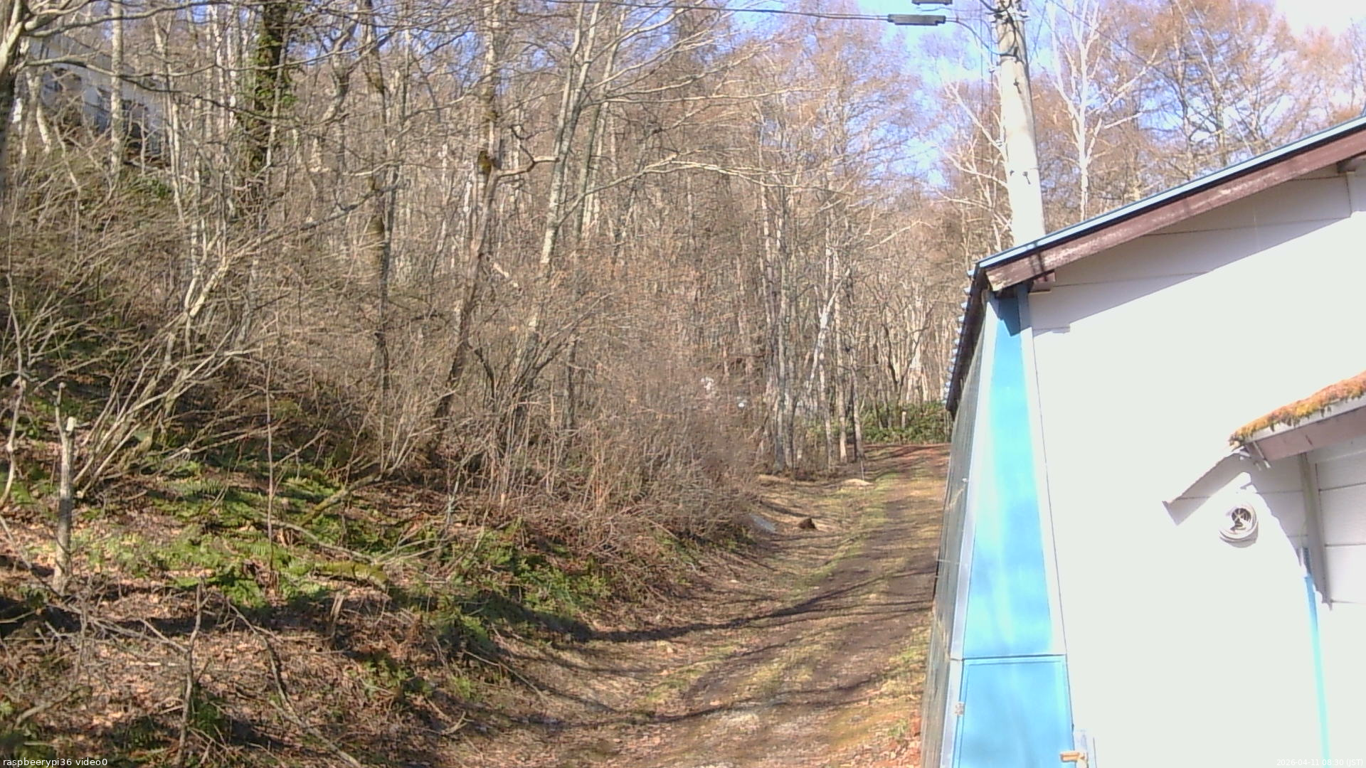 長野県菅平高原 ゆたか山荘 ゆたか山荘 2026/04/11 08:30
