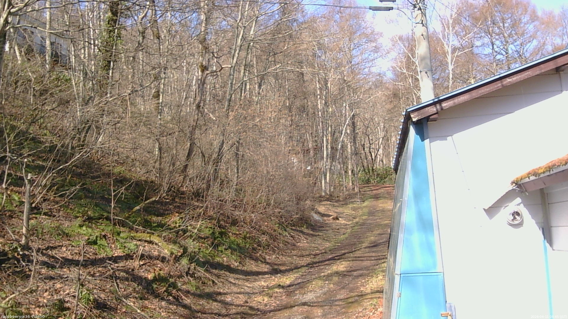 長野県菅平高原 ゆたか山荘 ゆたか山荘 2026/04/11 08:45