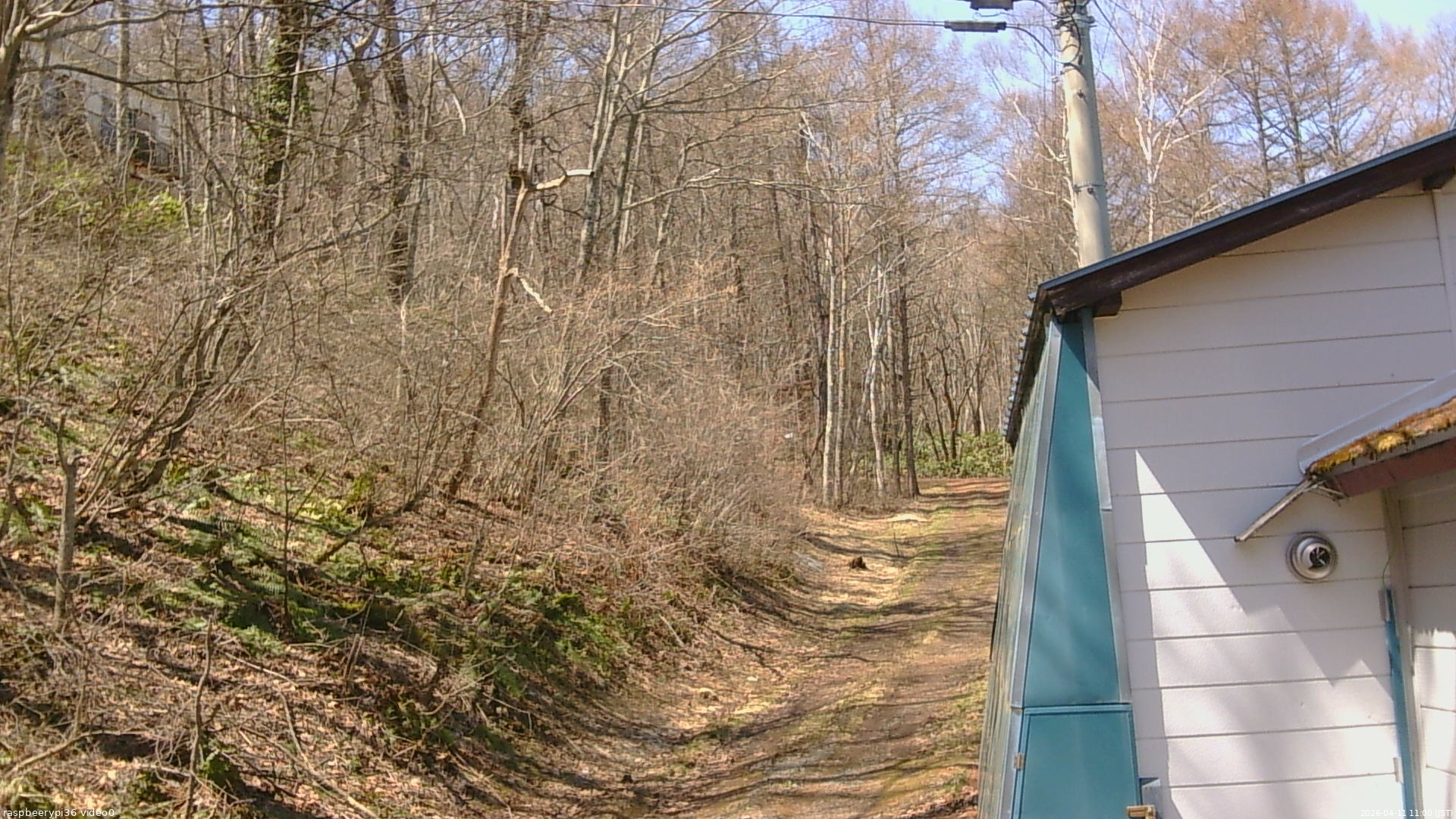 長野県菅平高原 ゆたか山荘 ゆたか山荘 2026/04/11 11:00