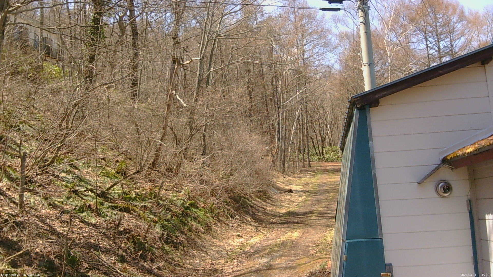 長野県菅平高原 ゆたか山荘 ゆたか山荘 2026/04/11 11:45