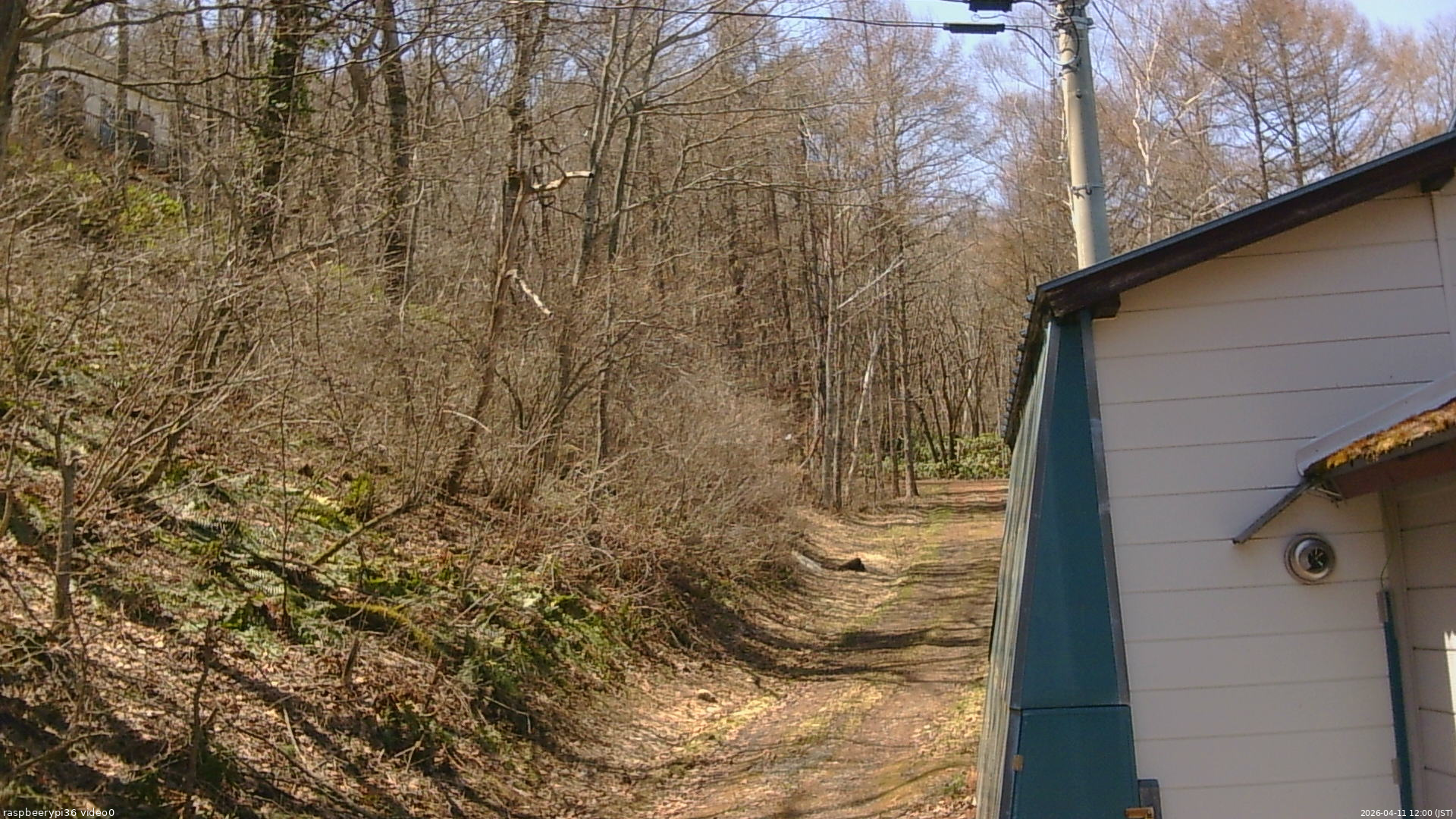 長野県菅平高原 ゆたか山荘 ゆたか山荘 2026/04/11 12:00