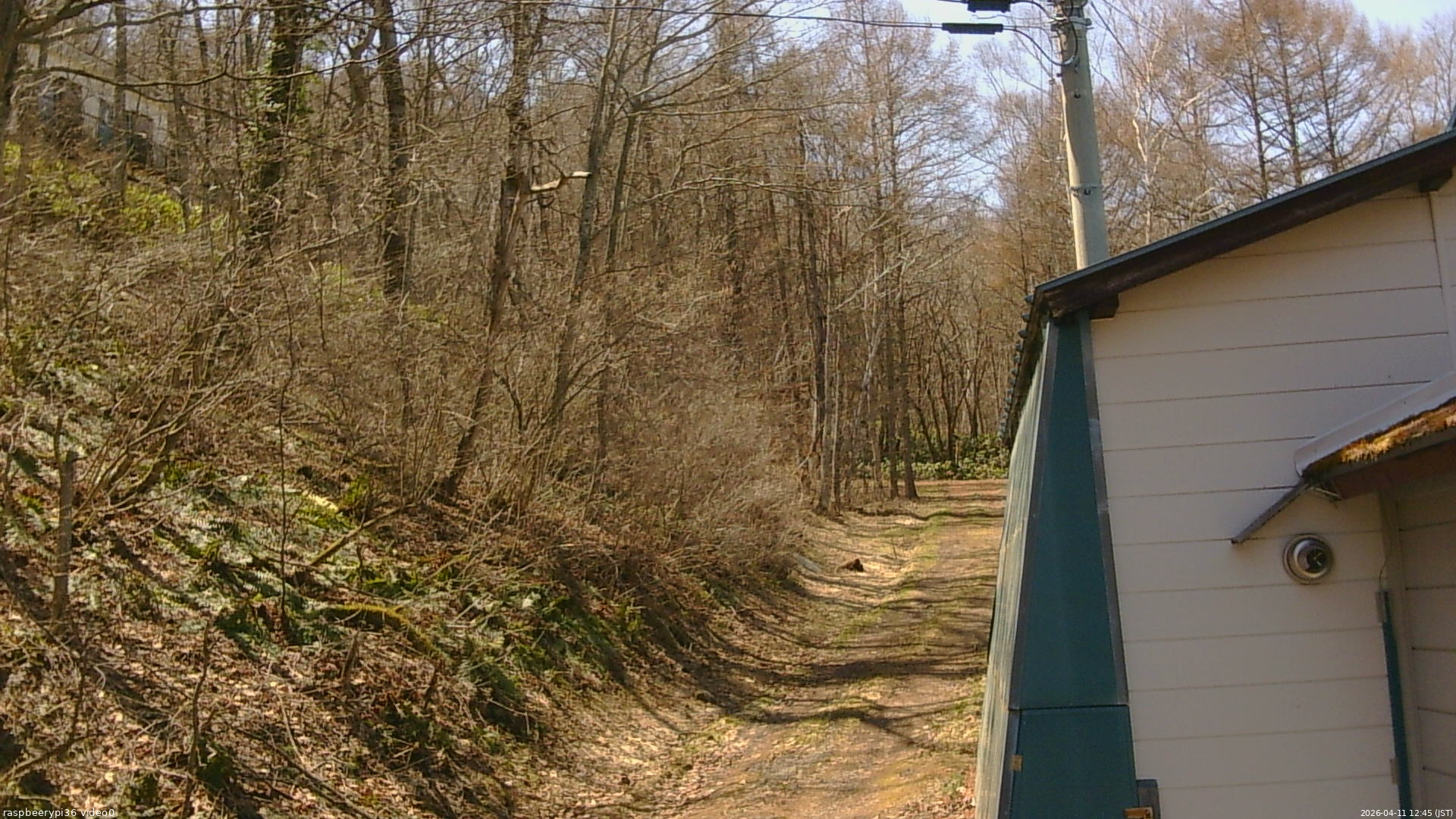 長野県菅平高原 ゆたか山荘 ゆたか山荘 2026/04/11 12:45
