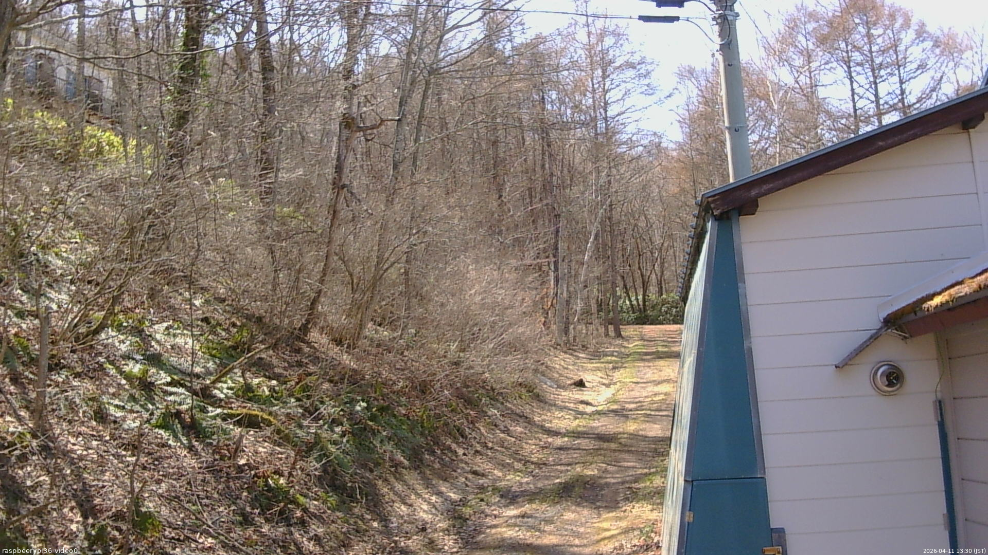 長野県菅平高原 ゆたか山荘 ゆたか山荘 2026/04/11 13:30