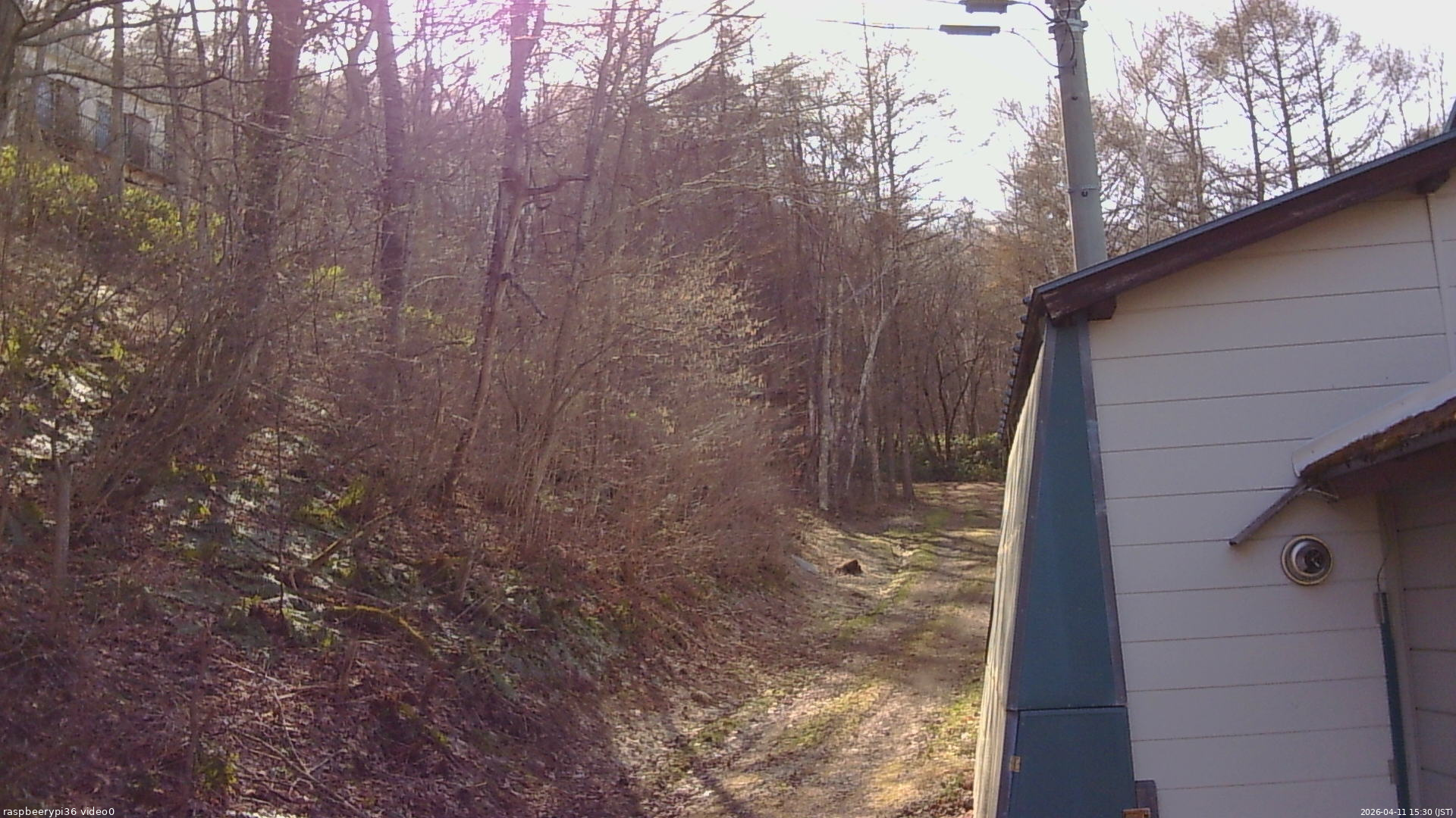 長野県菅平高原 ゆたか山荘 ゆたか山荘 2026/04/11 15:30