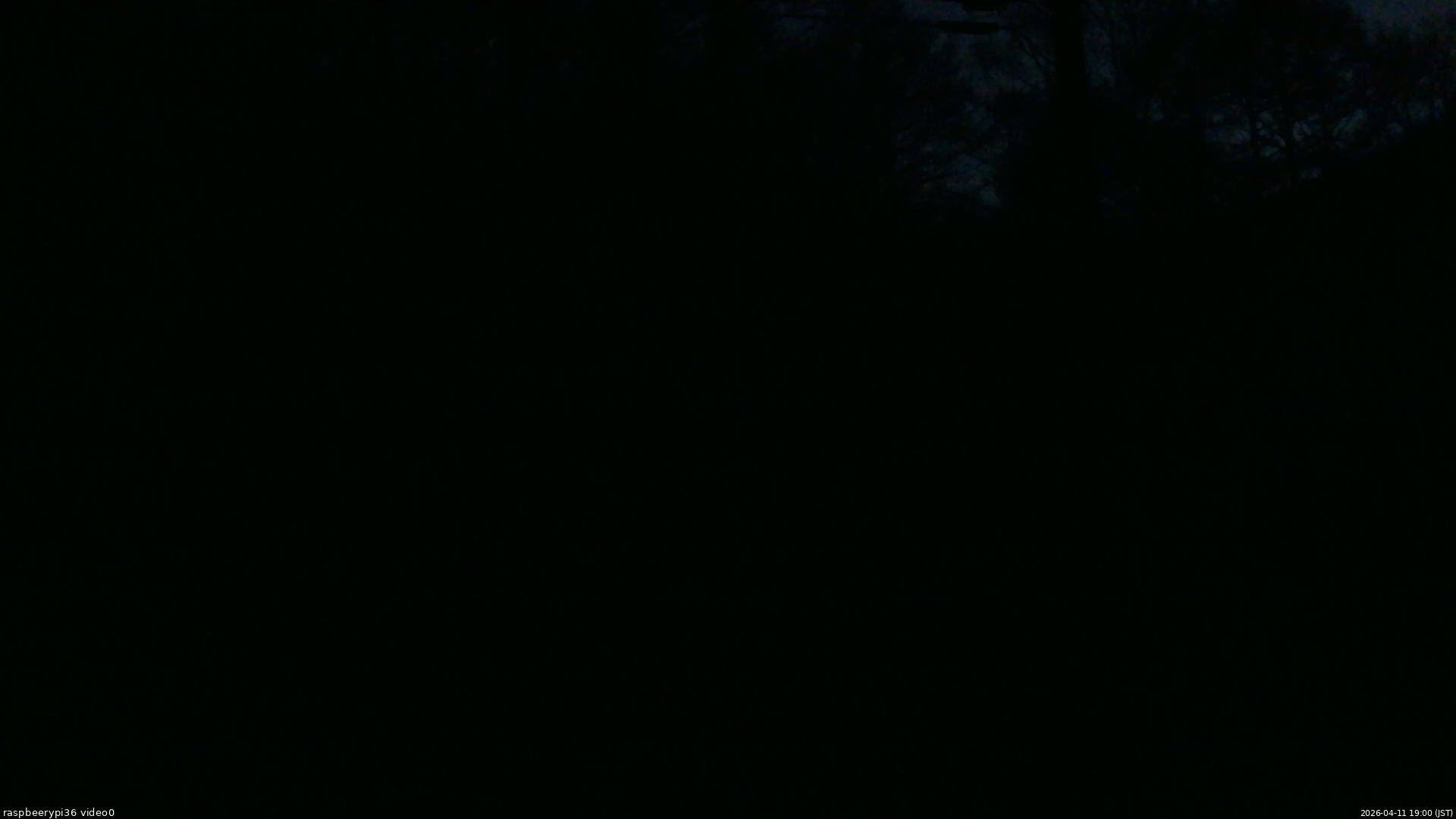 長野県菅平高原 ゆたか山荘 ゆたか山荘 2026/04/11 19:00