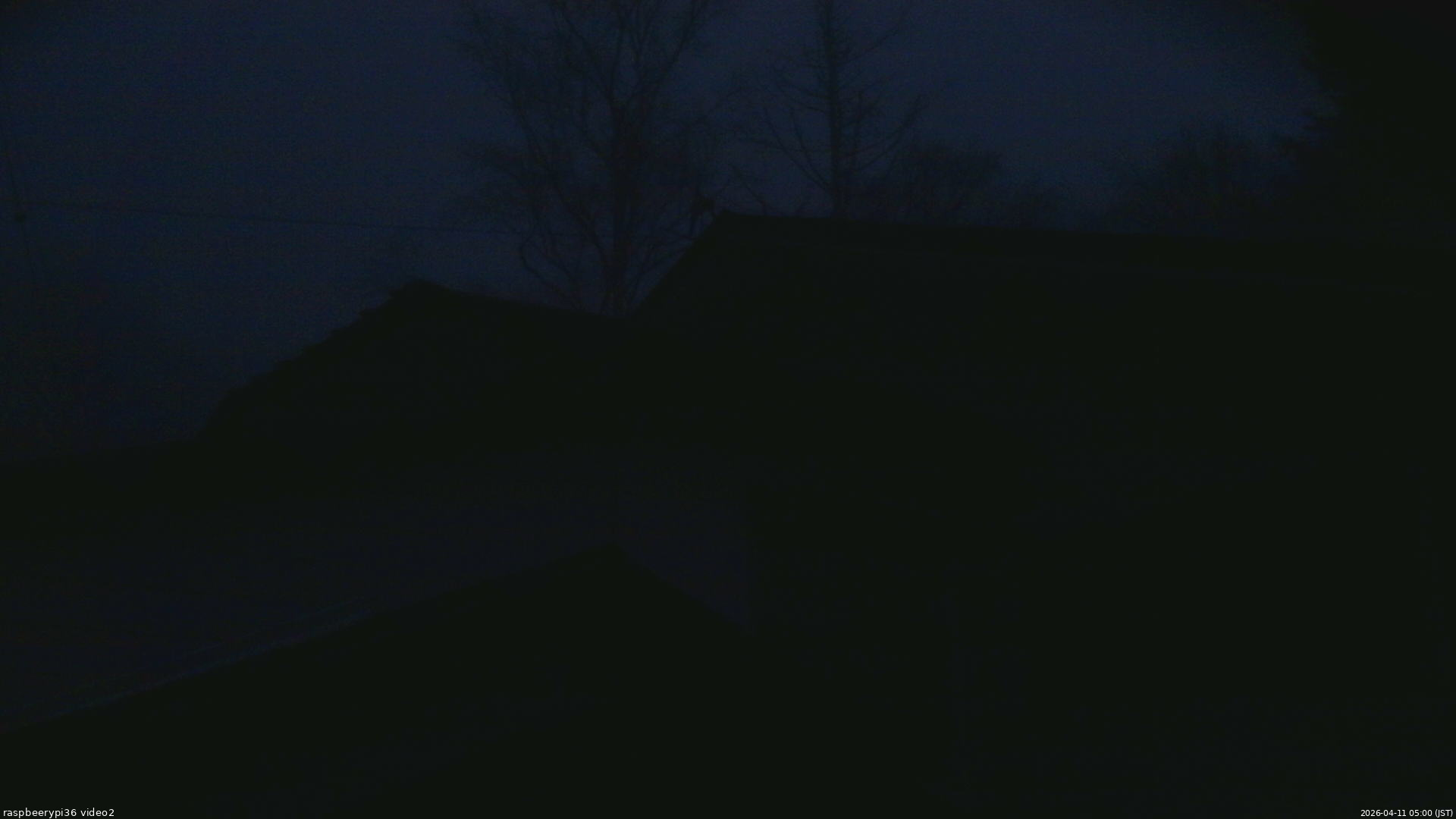 長野県菅平高原 ゆたか山荘 駐車場奥 2026/04/11 05:00