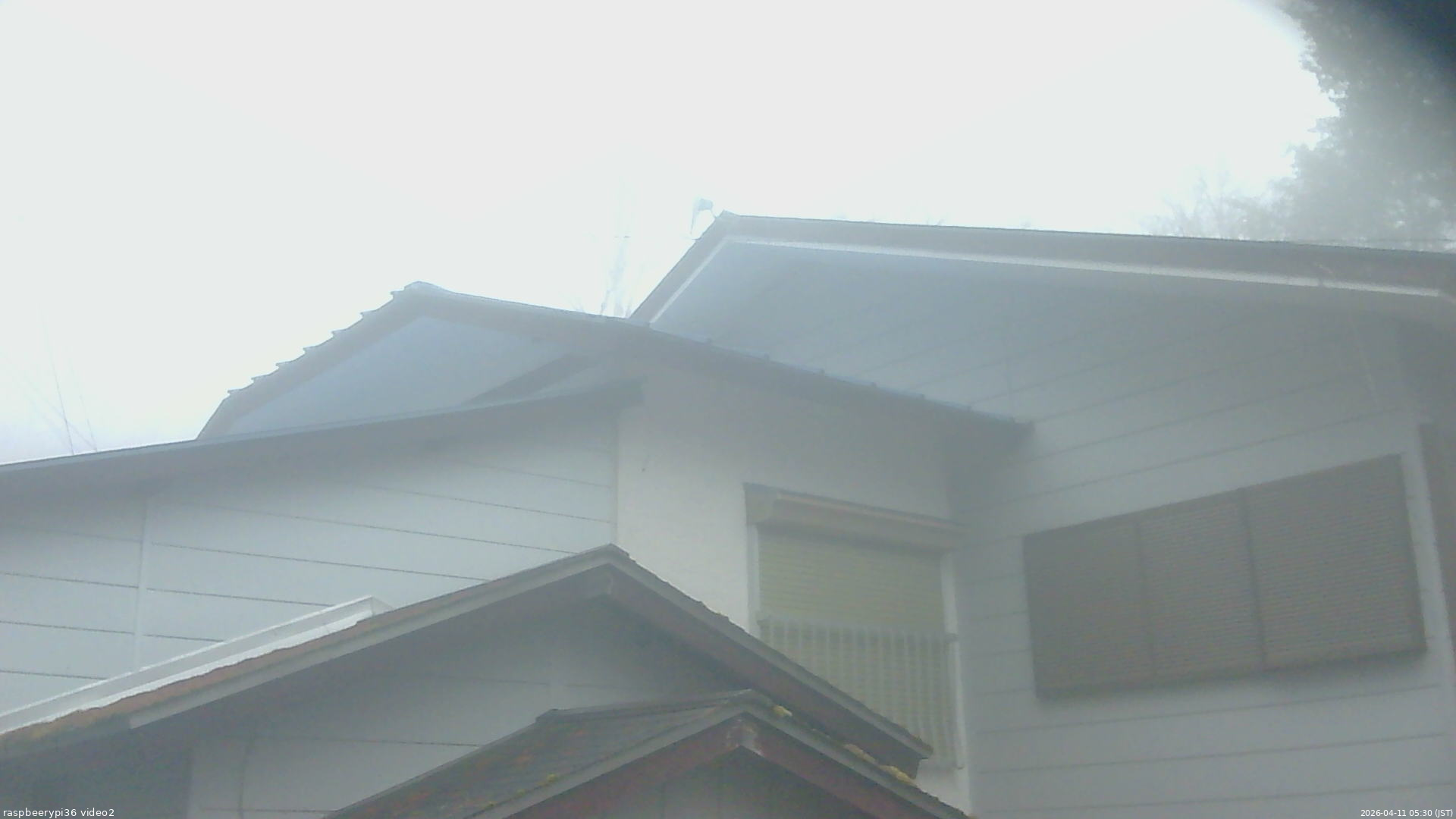 長野県菅平高原 ゆたか山荘 駐車場奥 2026/04/11 05:30