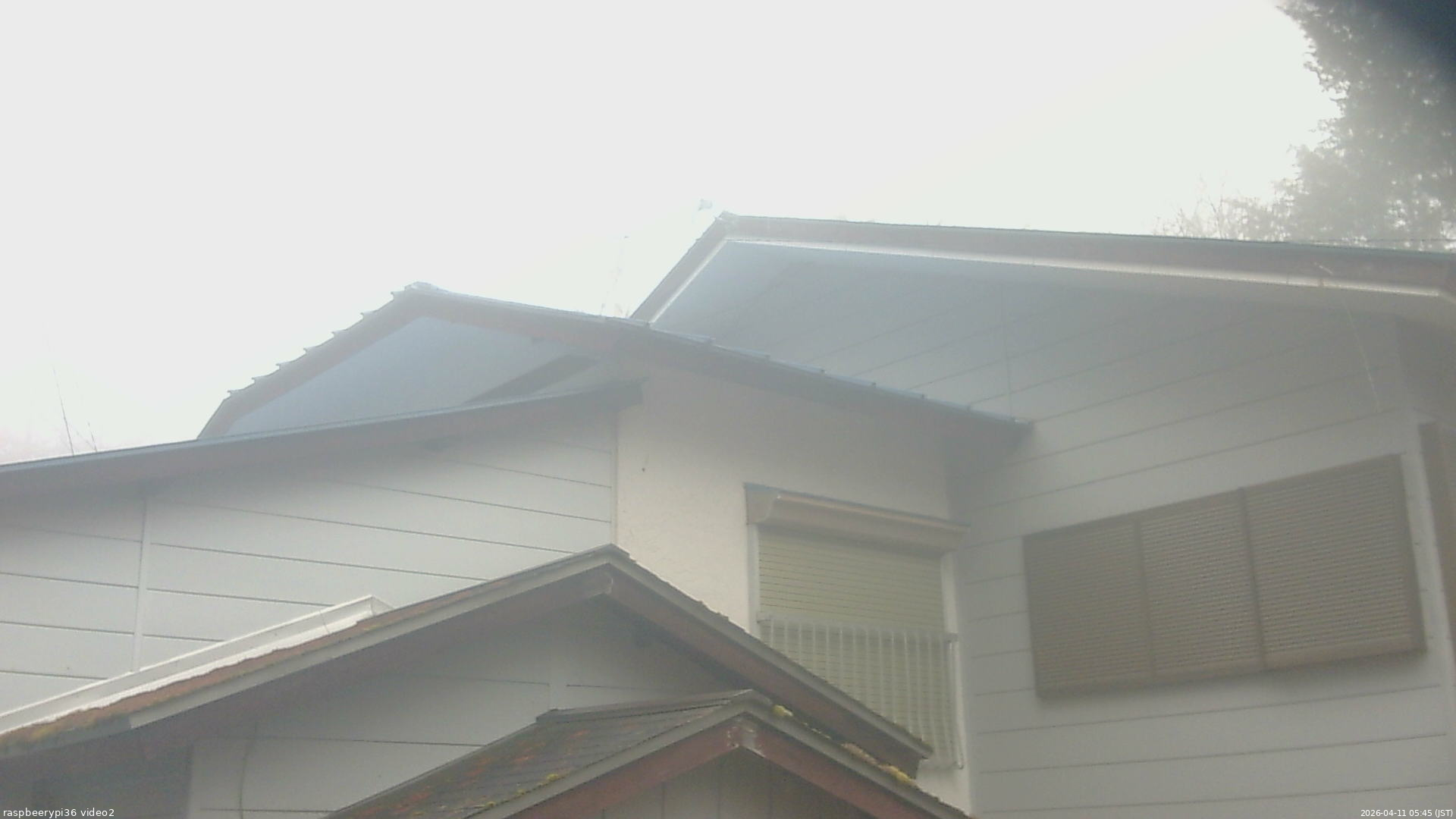 長野県菅平高原 ゆたか山荘 駐車場奥 2026/04/11 05:45