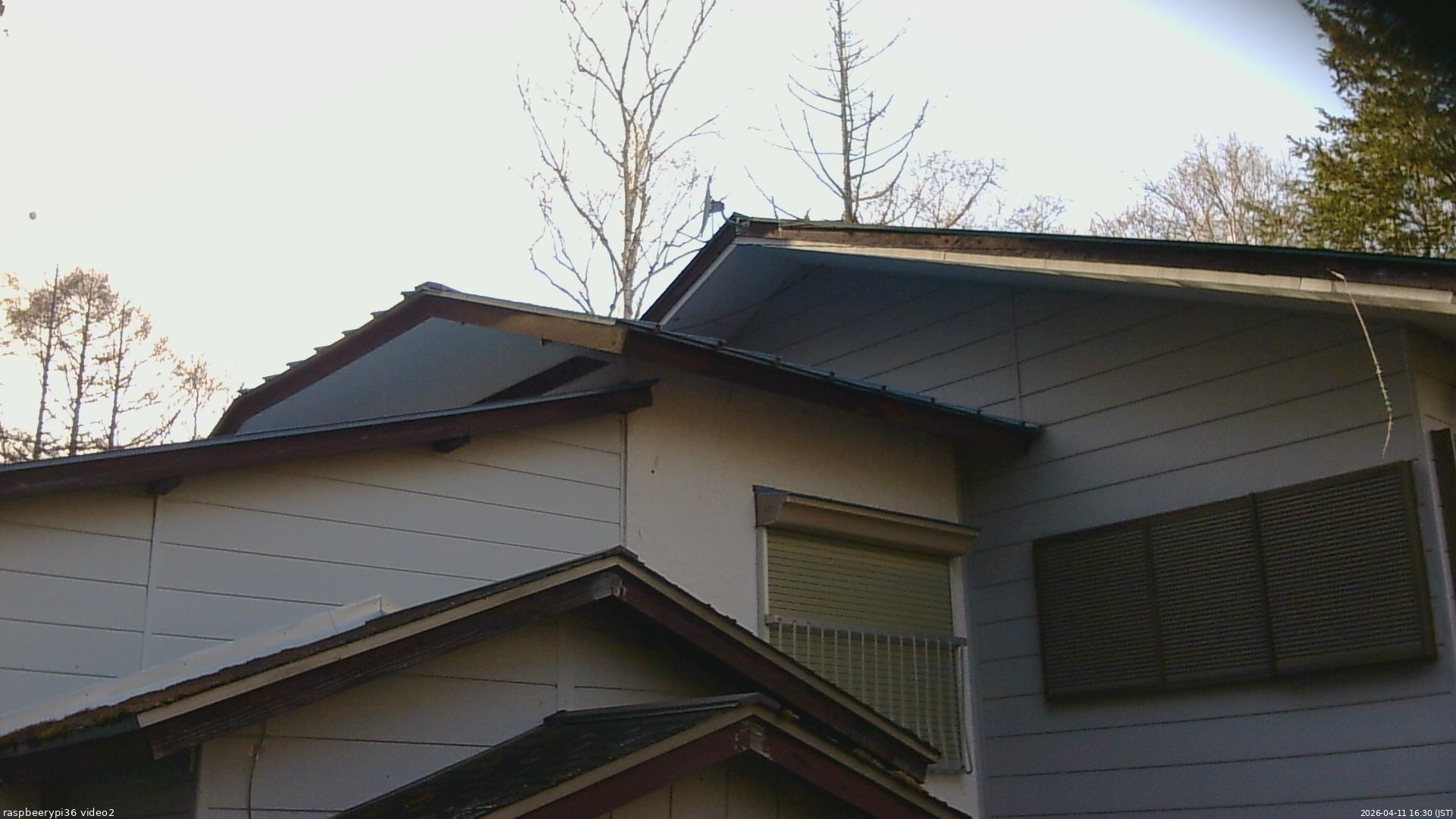 長野県菅平高原 ゆたか山荘 駐車場奥 2026/04/11 16:30