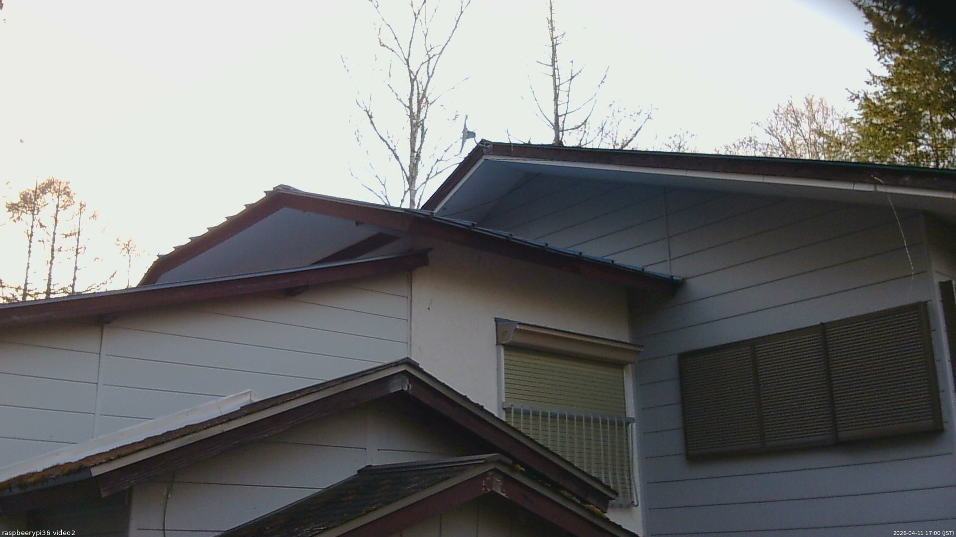 長野県菅平高原 ゆたか山荘 駐車場奥 2026/04/11 17:00