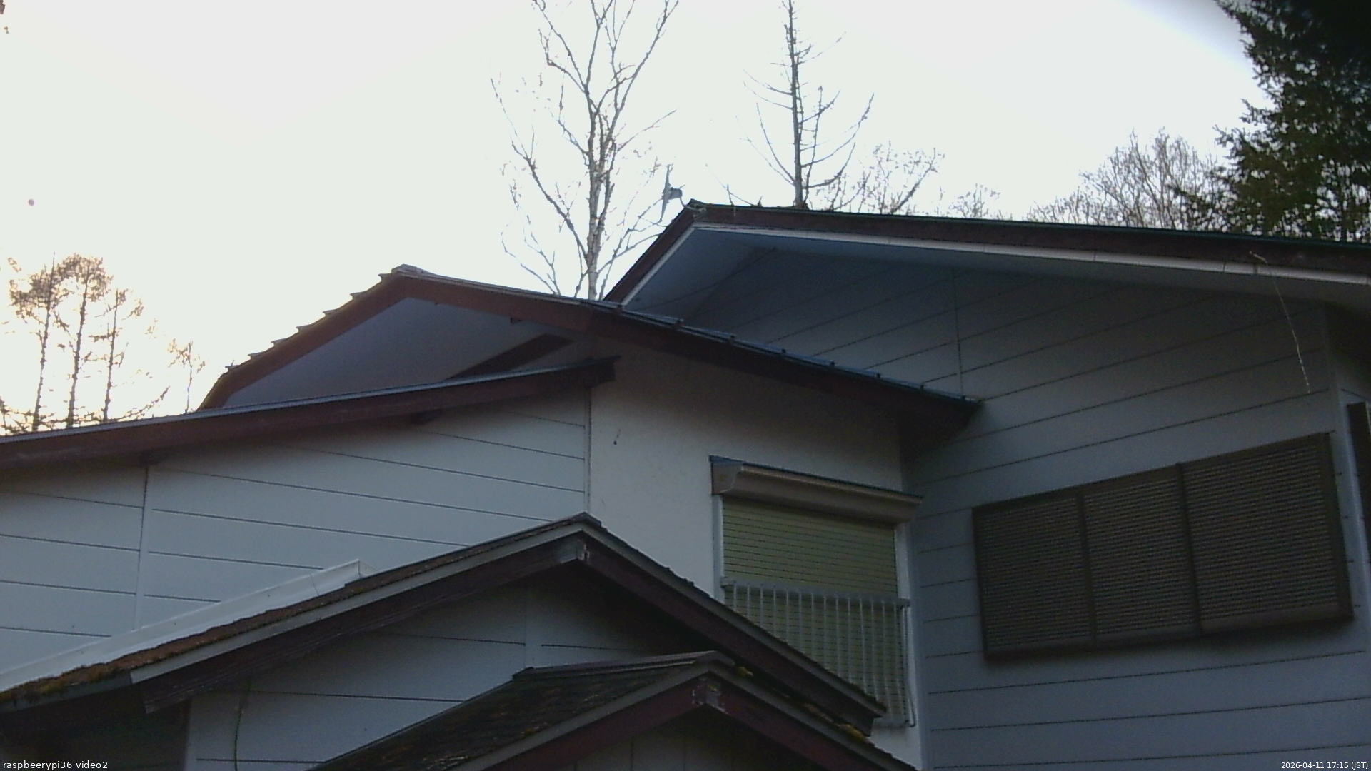 長野県菅平高原 ゆたか山荘 駐車場奥 2026/04/11 17:15