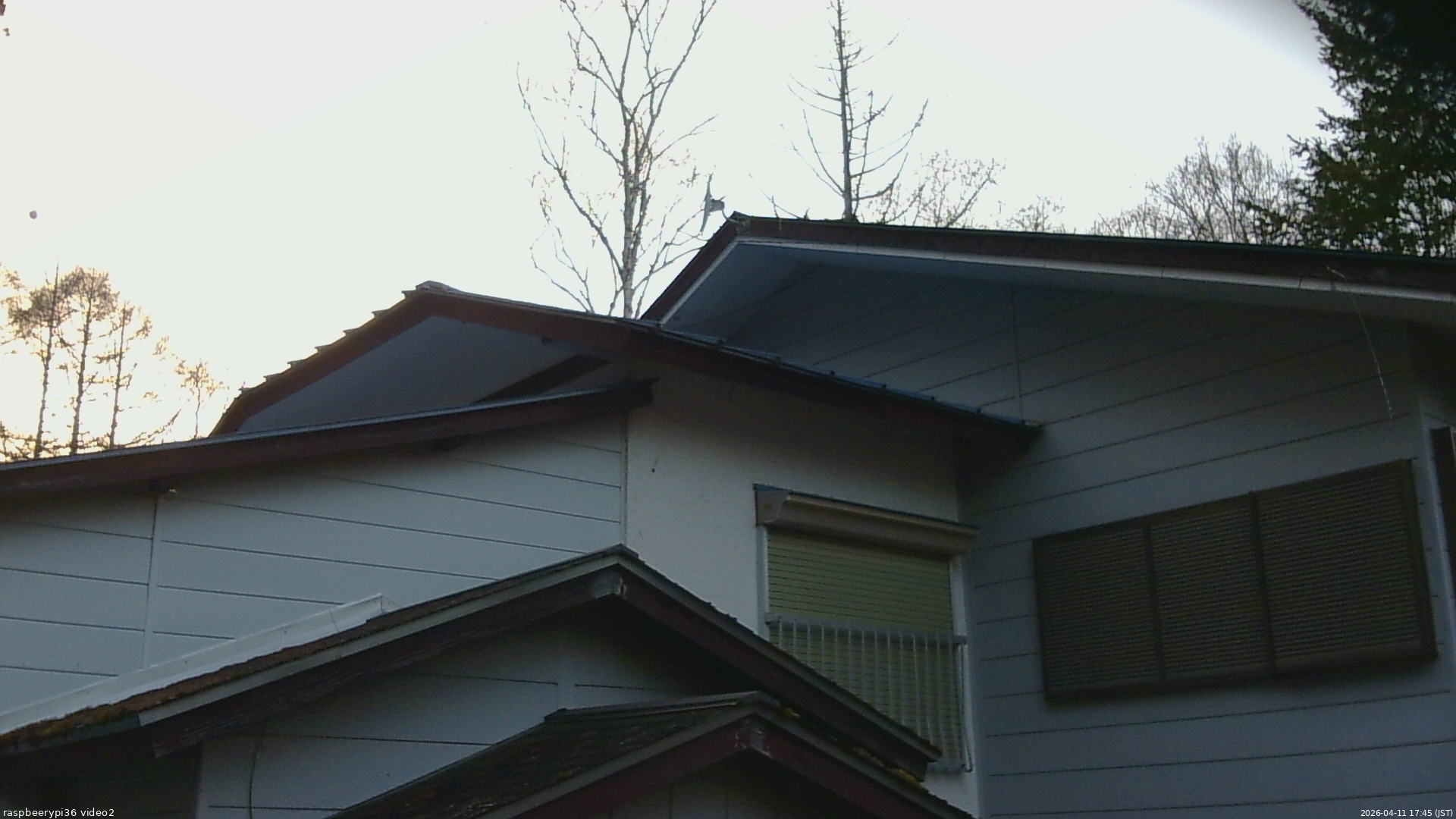 長野県菅平高原 ゆたか山荘 駐車場奥 2026/04/11 17:45