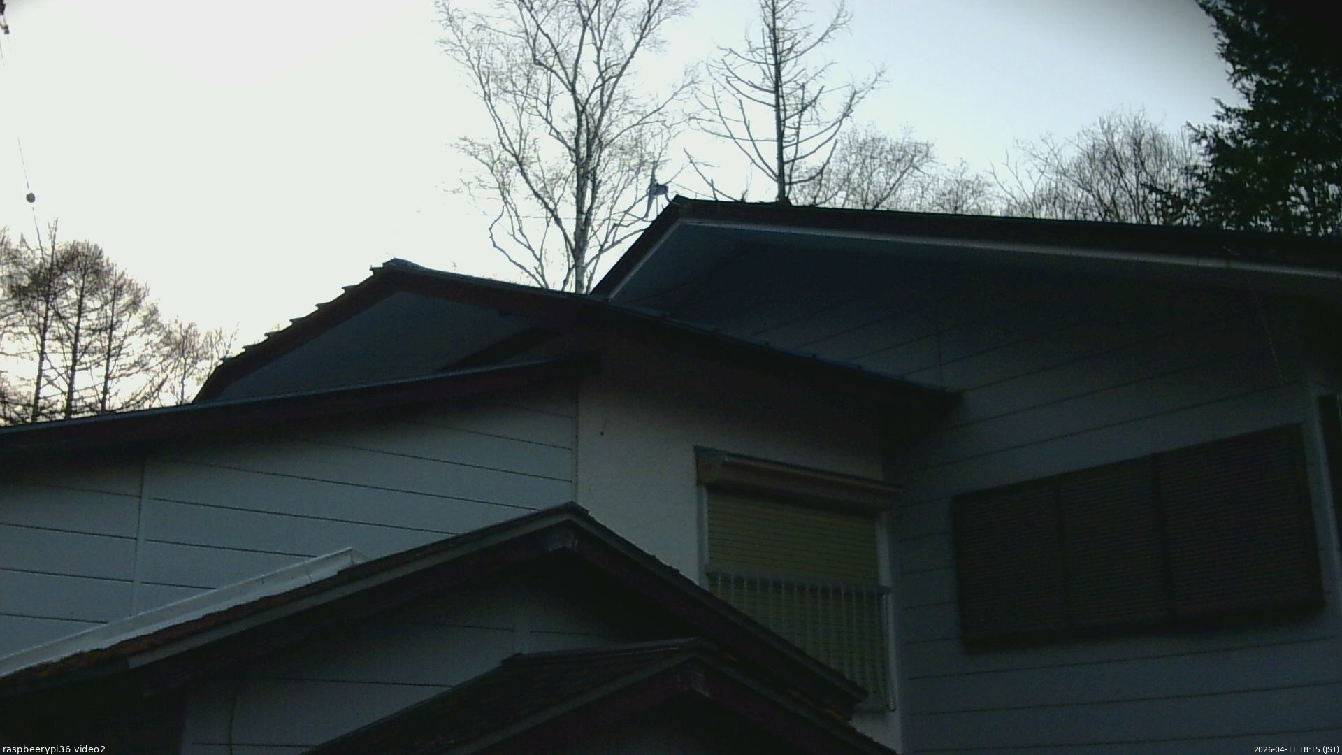 長野県菅平高原 ゆたか山荘 駐車場奥 2026/04/11 18:15