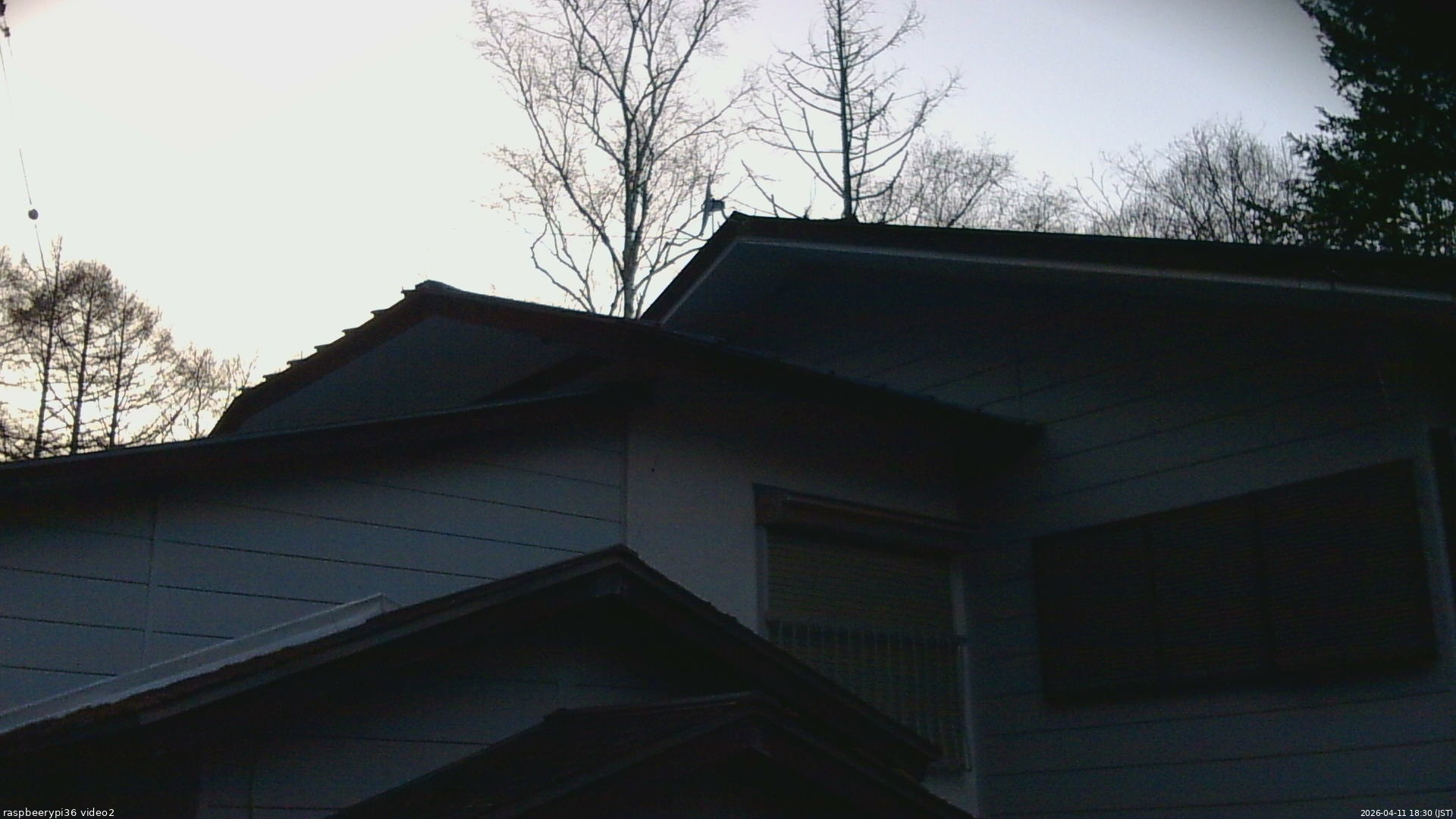 長野県菅平高原 ゆたか山荘 駐車場奥 2026/04/11 18:30