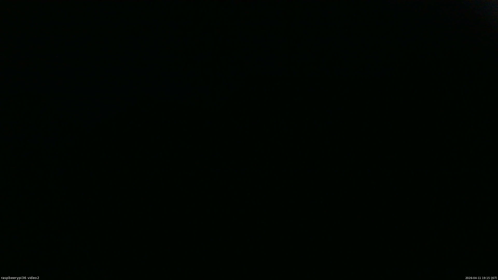 長野県菅平高原 ゆたか山荘 駐車場奥 2026/04/11 19:15