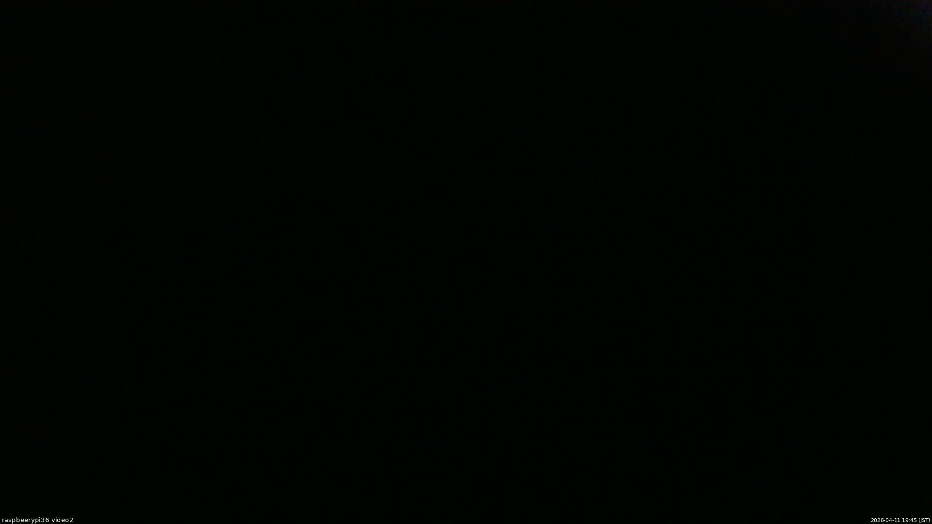 長野県菅平高原 ゆたか山荘 駐車場奥 2026/04/11 19:45