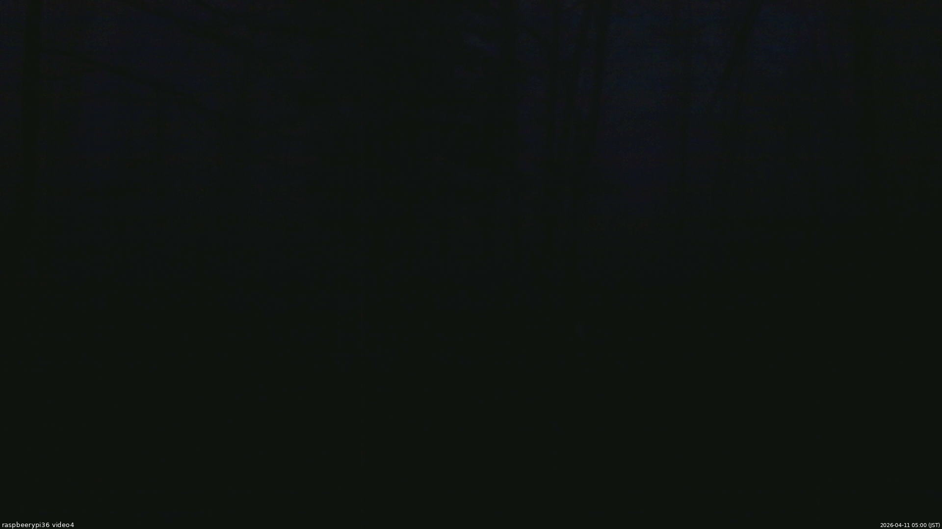 長野県菅平高原 ゆたか山荘 坂上 2026/04/11 05:00