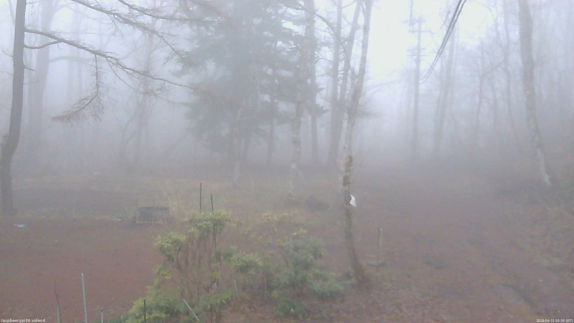 長野県菅平高原 ゆたか山荘 坂上 2026/04/11 05:30