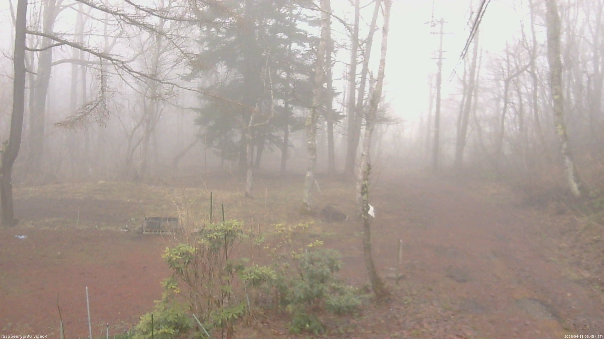 長野県菅平高原 ゆたか山荘 坂上 2026/04/11 05:45