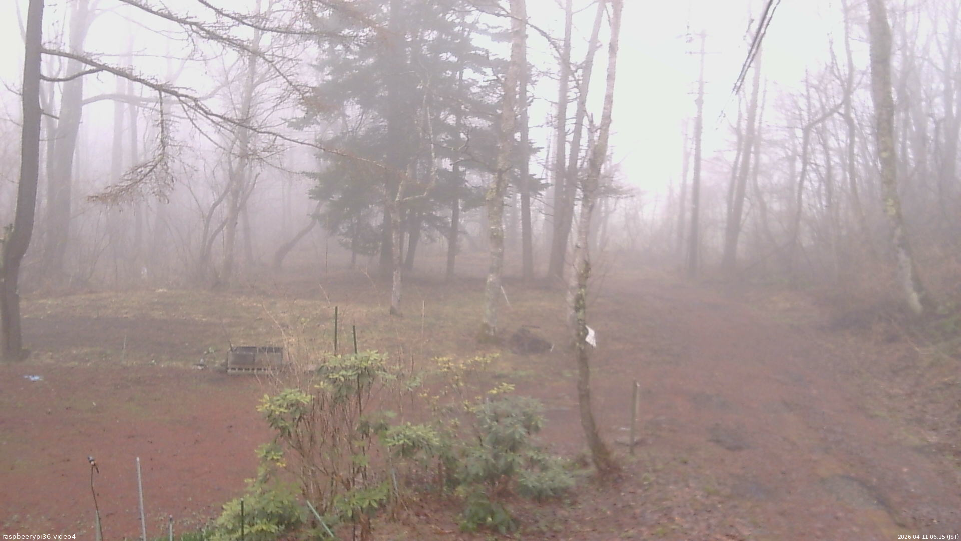 長野県菅平高原 ゆたか山荘 坂上 2026/04/11 06:15