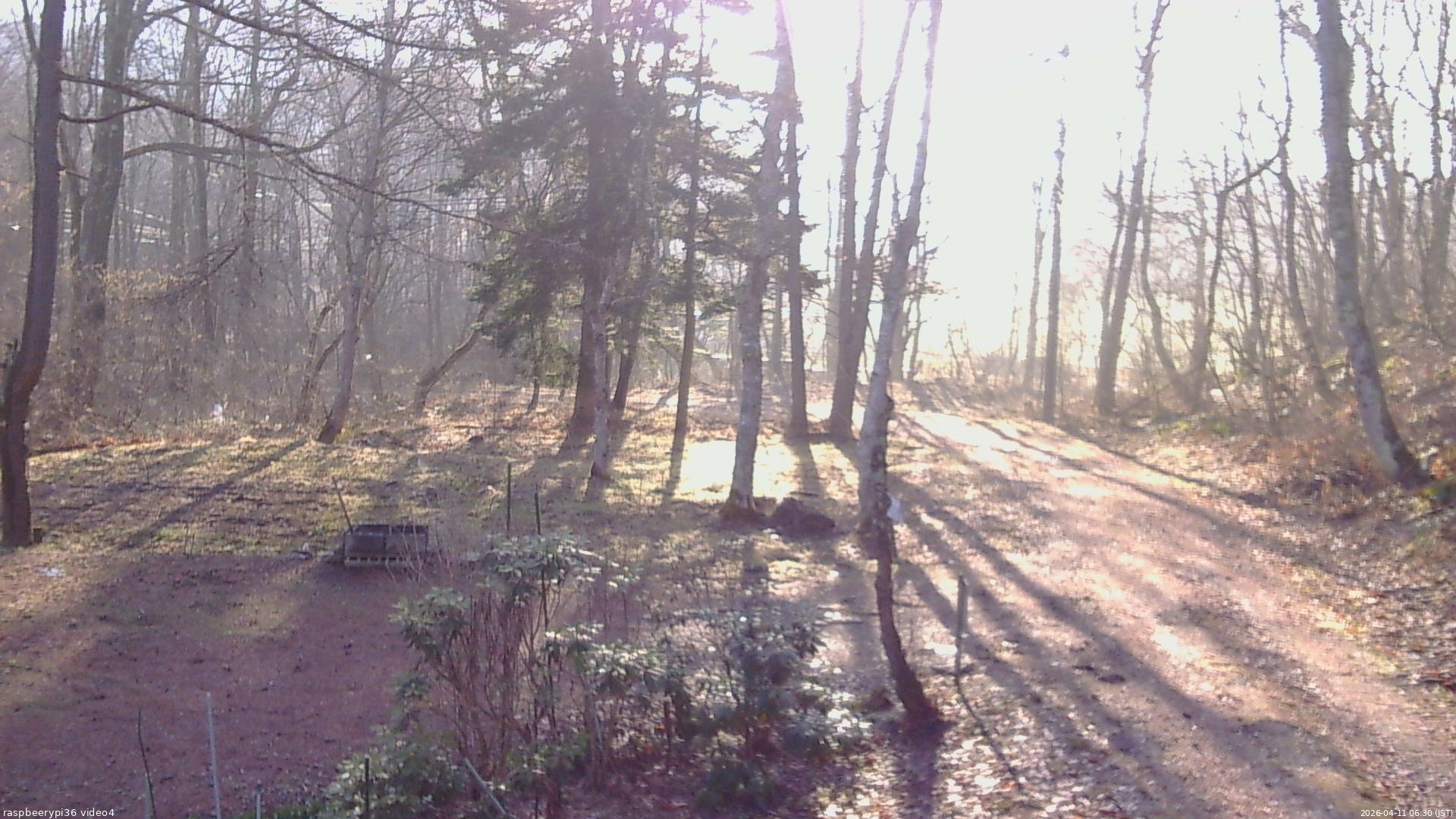 長野県菅平高原 ゆたか山荘 坂上 2026/04/11 06:30