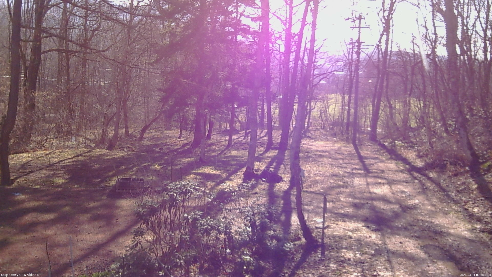 長野県菅平高原 ゆたか山荘 坂上 2026/04/11 07:30