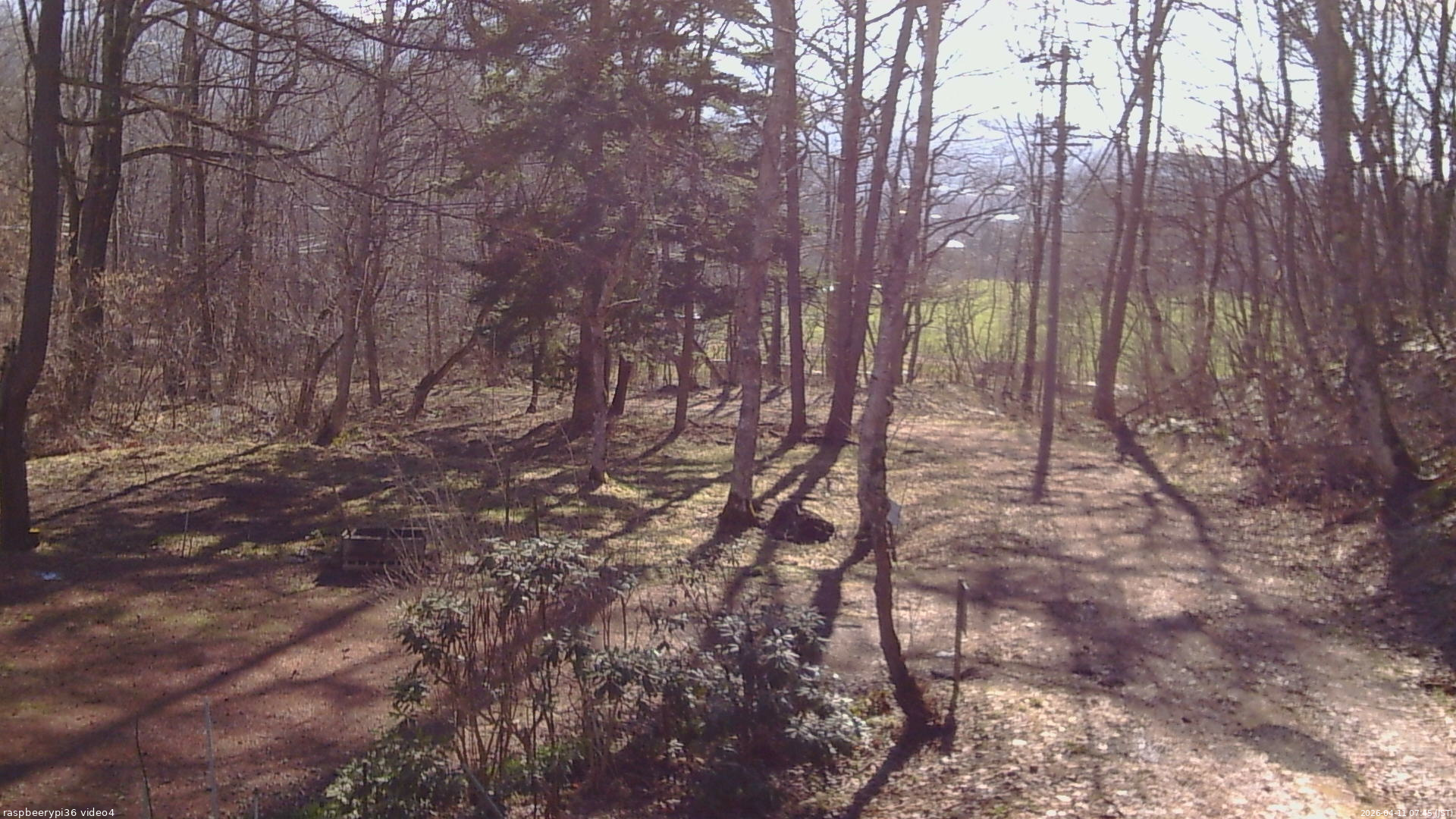 長野県菅平高原 ゆたか山荘 坂上 2026/04/11 07:45