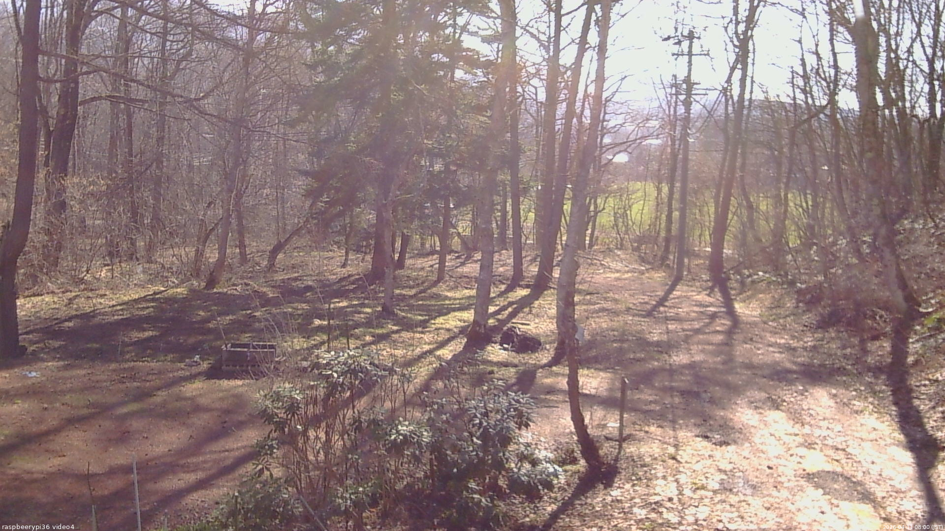 長野県菅平高原 ゆたか山荘 坂上 2026/04/11 08:00