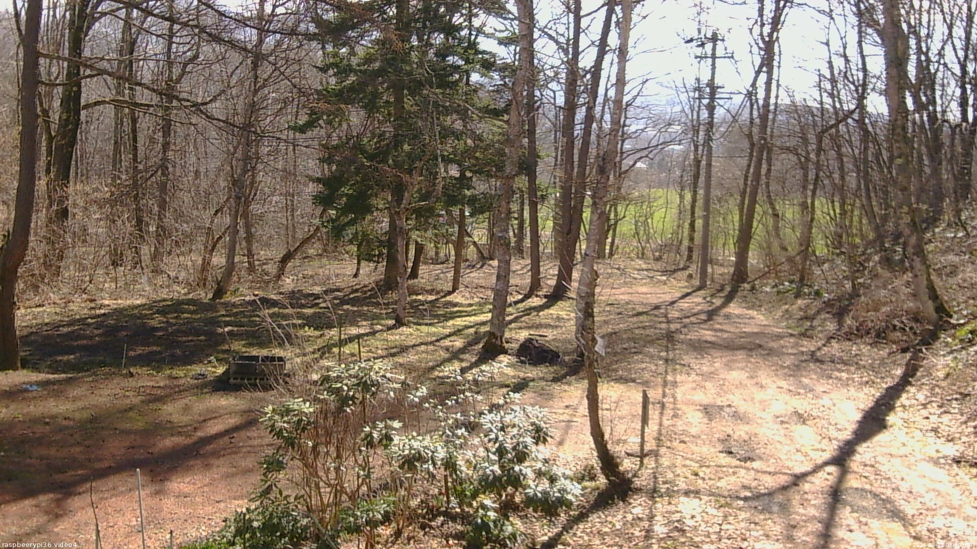 長野県菅平高原 ゆたか山荘 坂上 2026/04/11 08:30