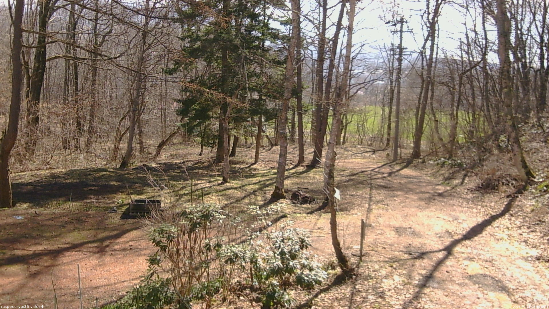 長野県菅平高原 ゆたか山荘 坂上 2026/04/11 08:45